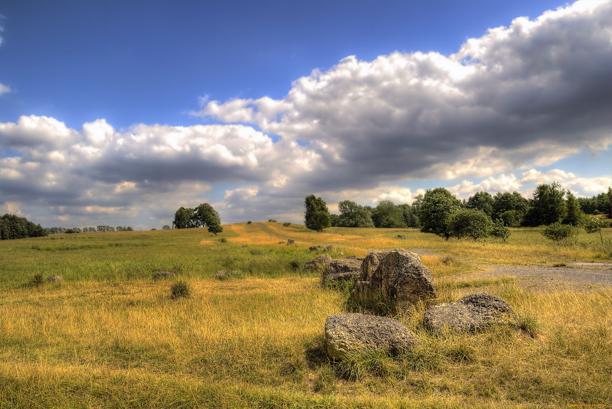 природа, поля, простор