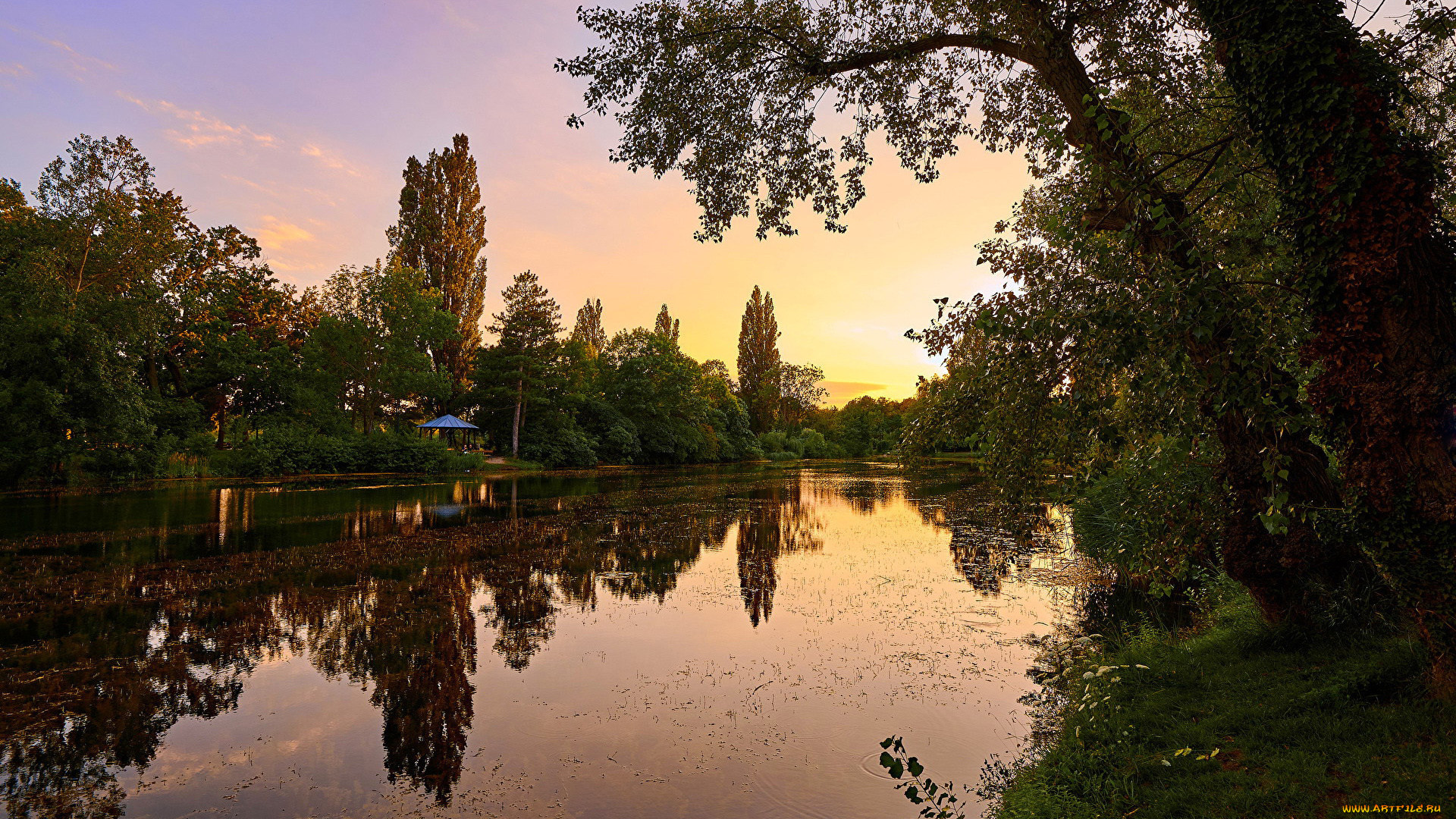 природа, реки, озера, пруд