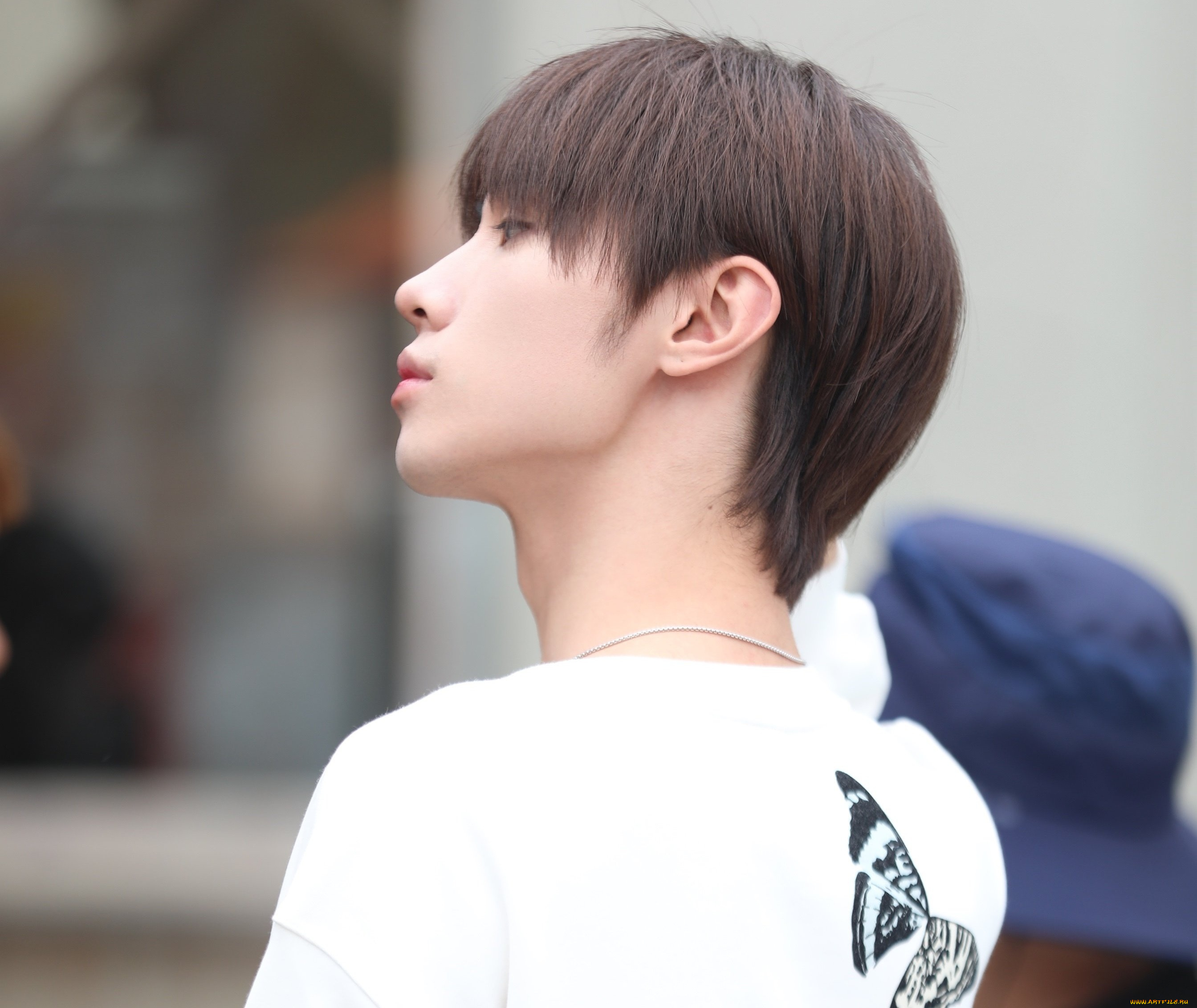 мужчины, song, ji, yang, сун, цзиян, китайский, актёр, певец