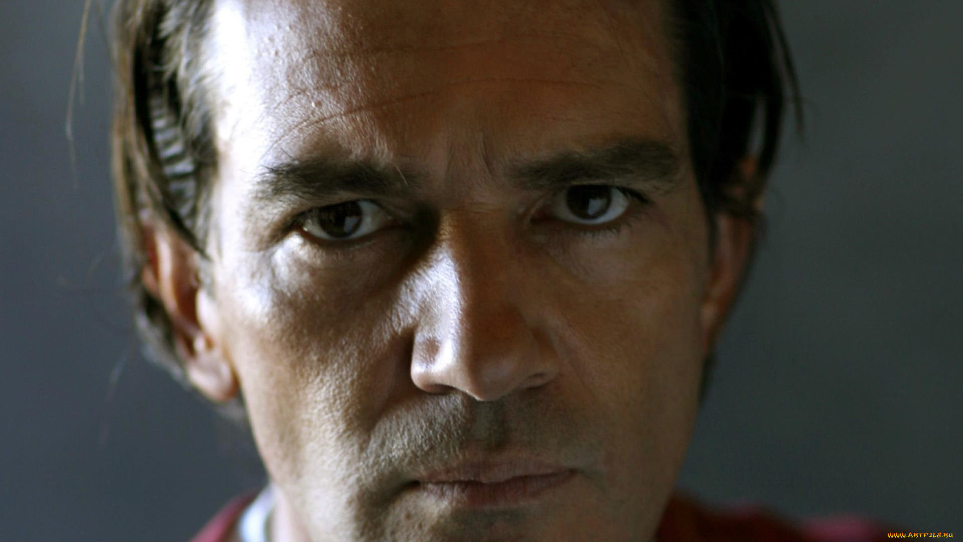 мужчины, antonio, banderas, актер, лицо