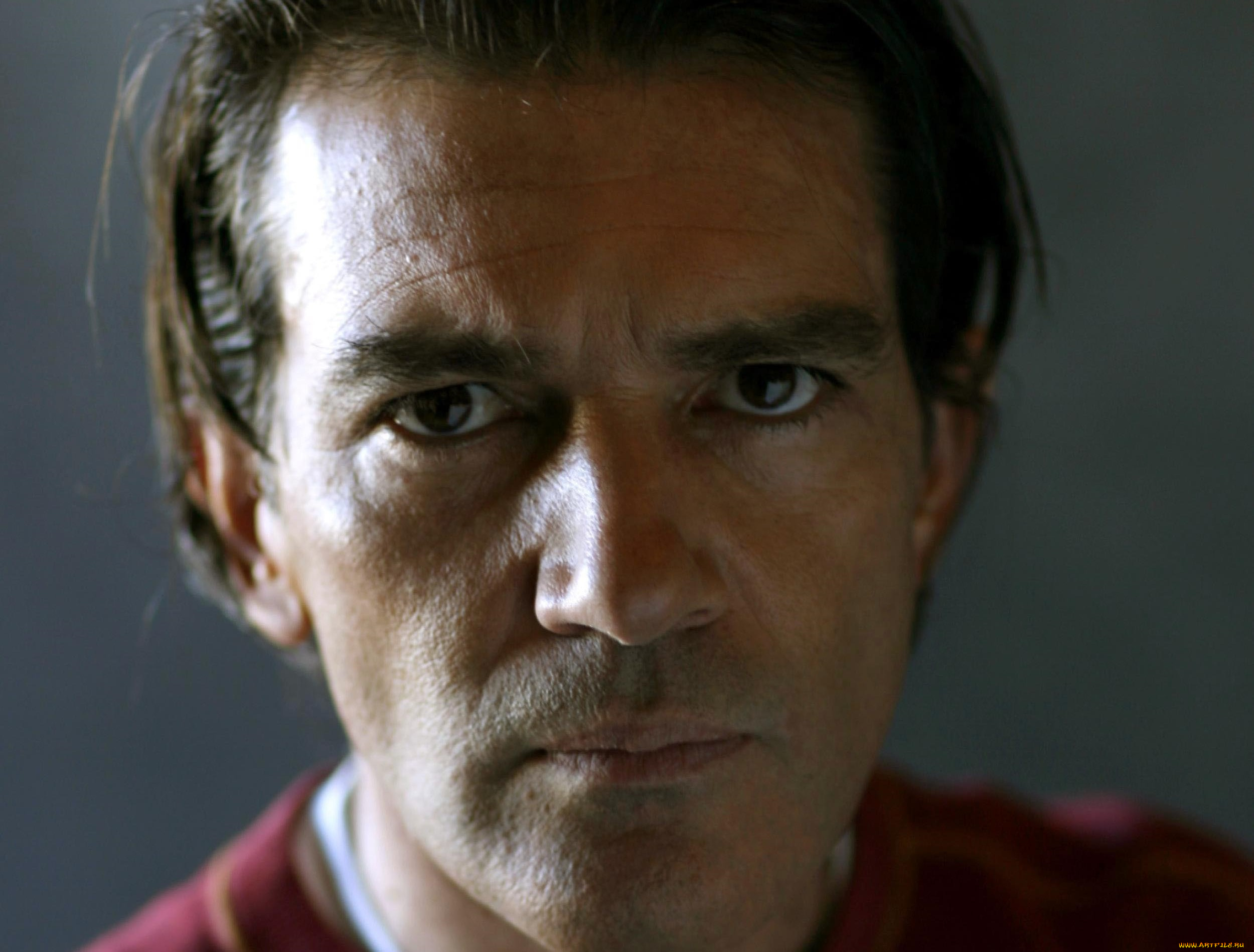 мужчины, antonio, banderas, актер, лицо
