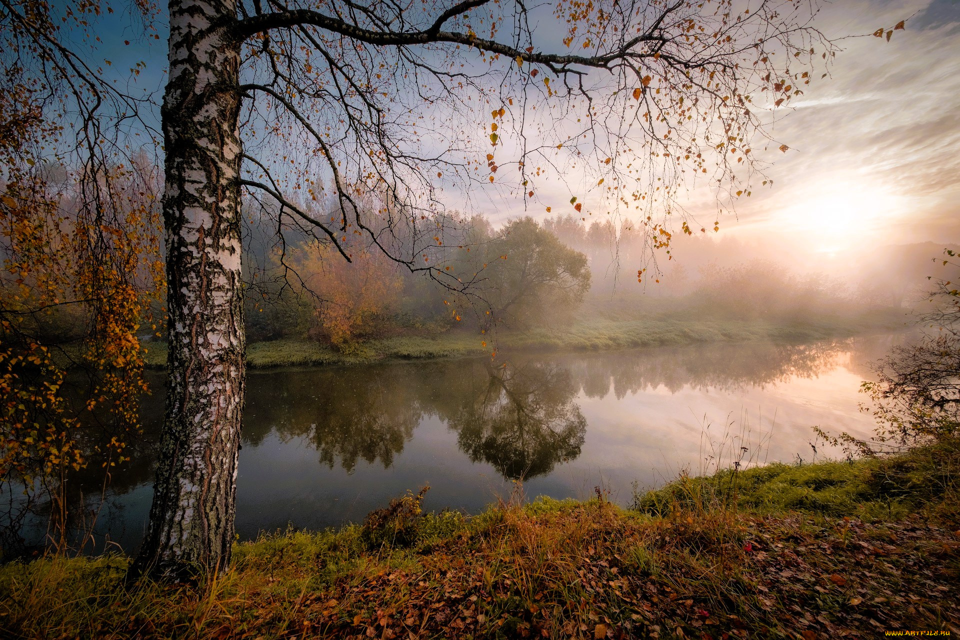 природа, реки, озера, лес, береза, листья, река, осень, туман