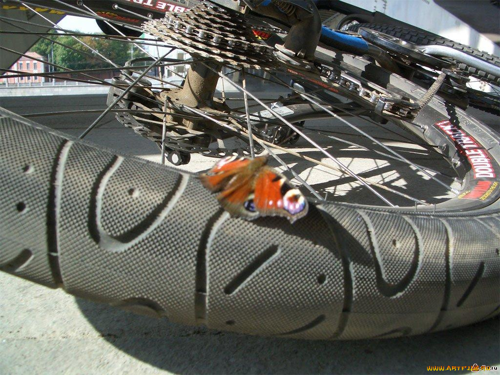 спорт, велоспорт