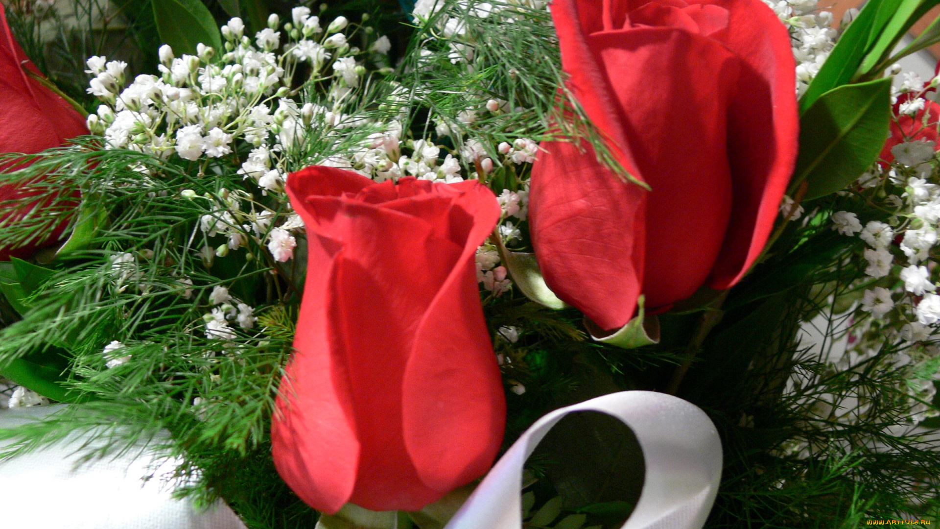 цветы, разные, вместе