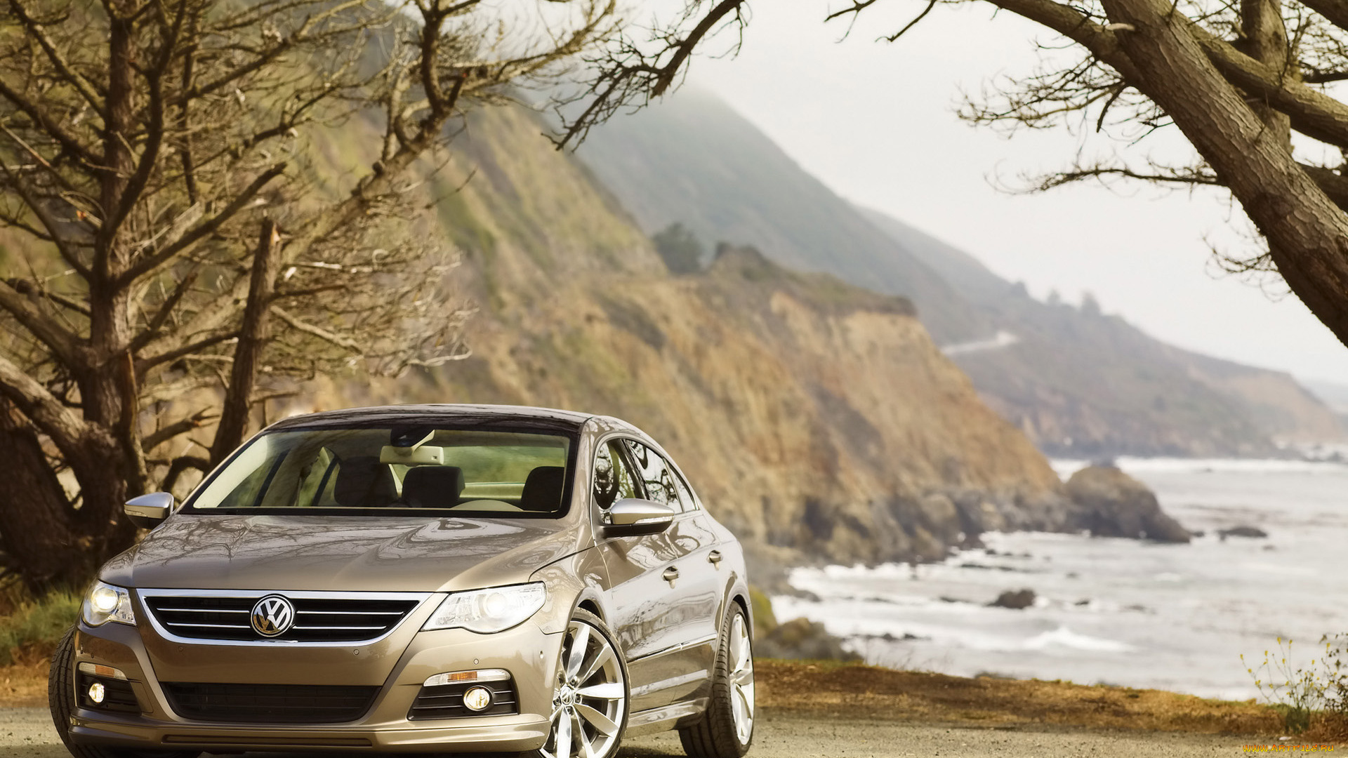 2009, volkswagen, cc, gold, coast, edition, автомобили