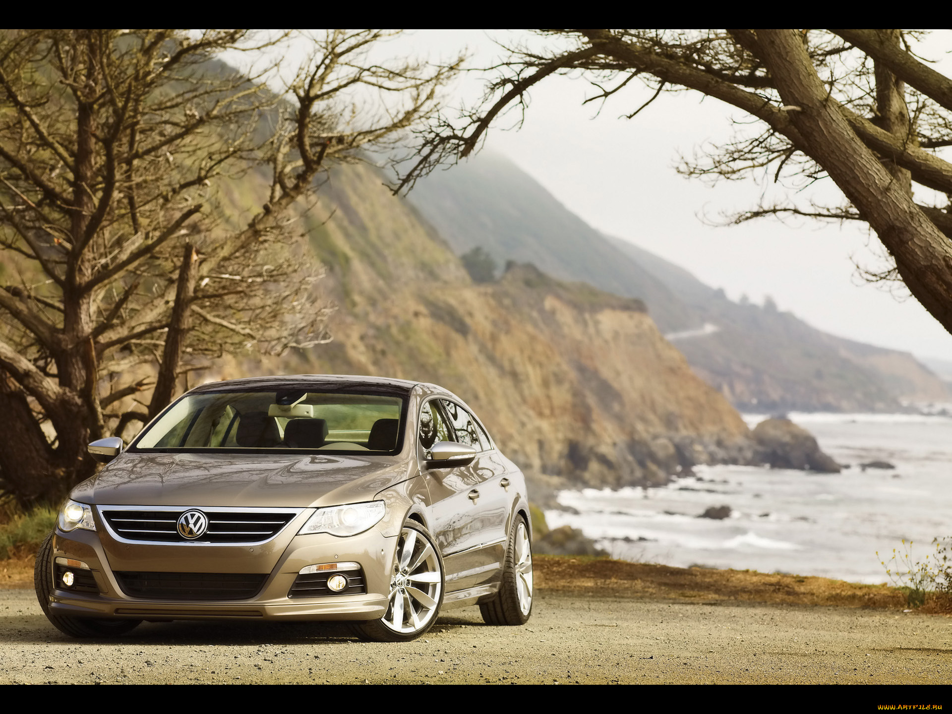 2009, volkswagen, cc, gold, coast, edition, автомобили