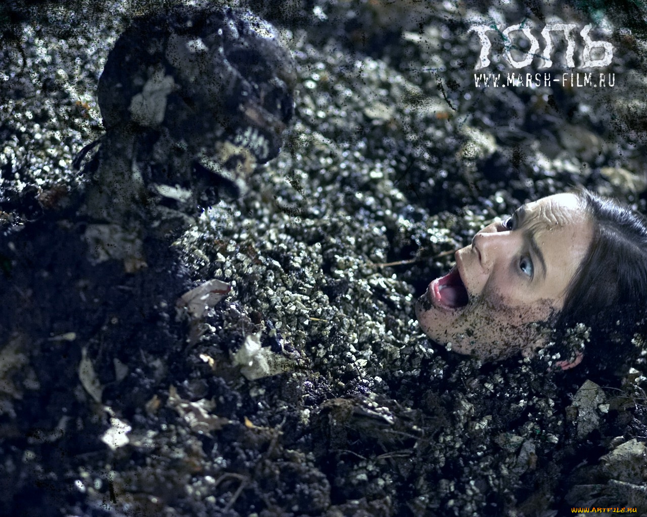 the, marsh, кино, фильмы