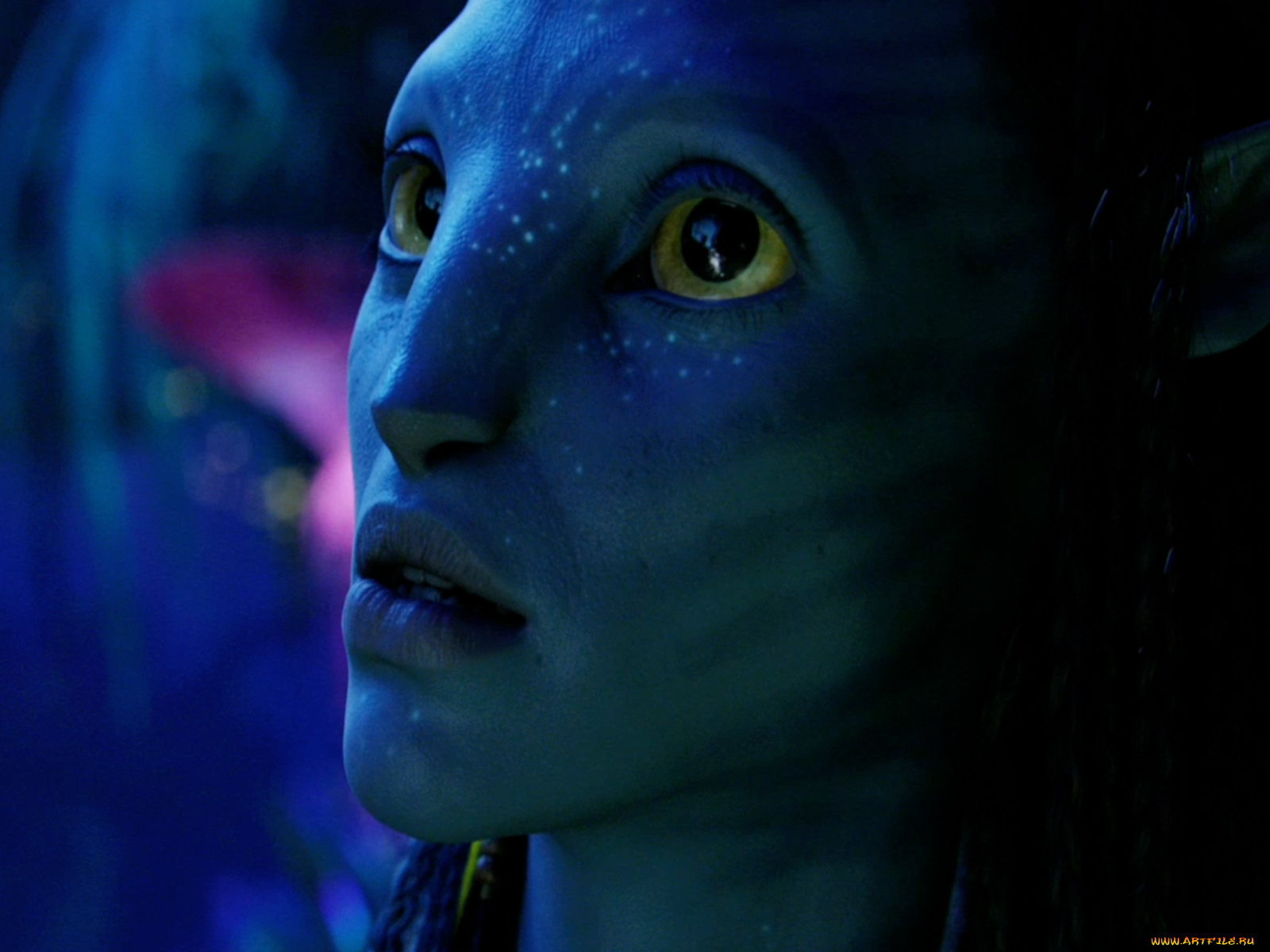 аватар, кино, фильмы, avatar