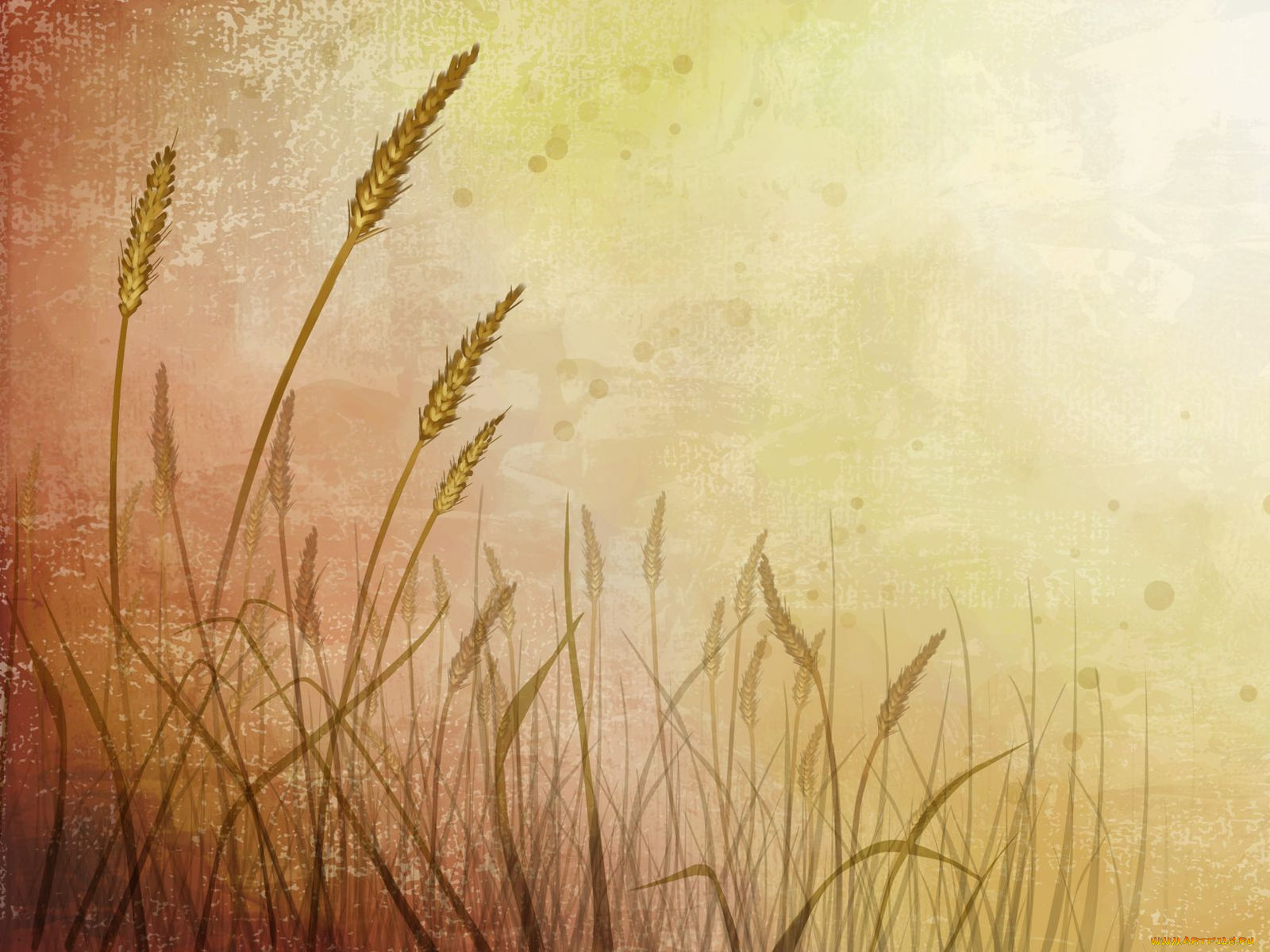 векторная, графика