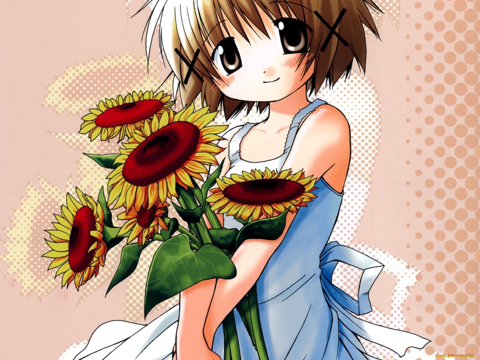 аниме, hidamari, sketch