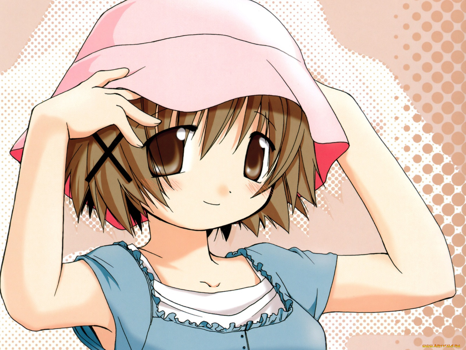 аниме, hidamari, sketch