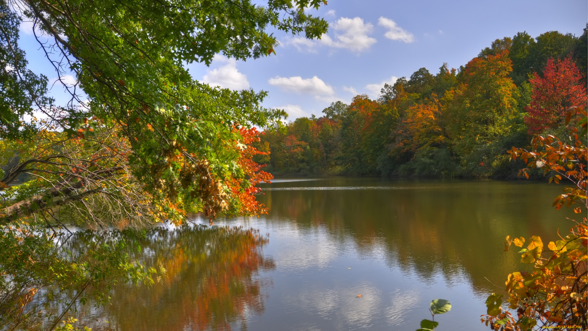 природа, реки, озера