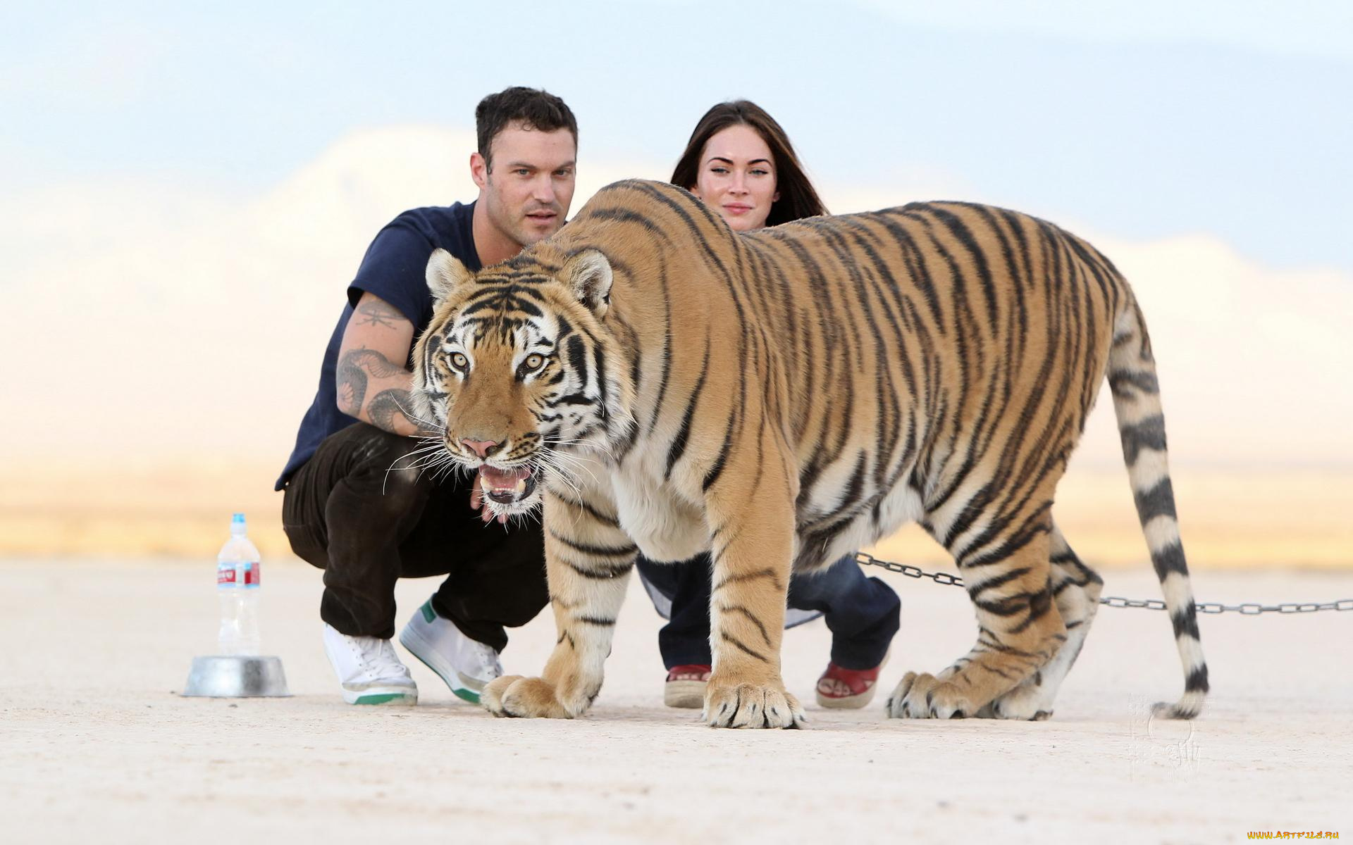 разное, знаменитости