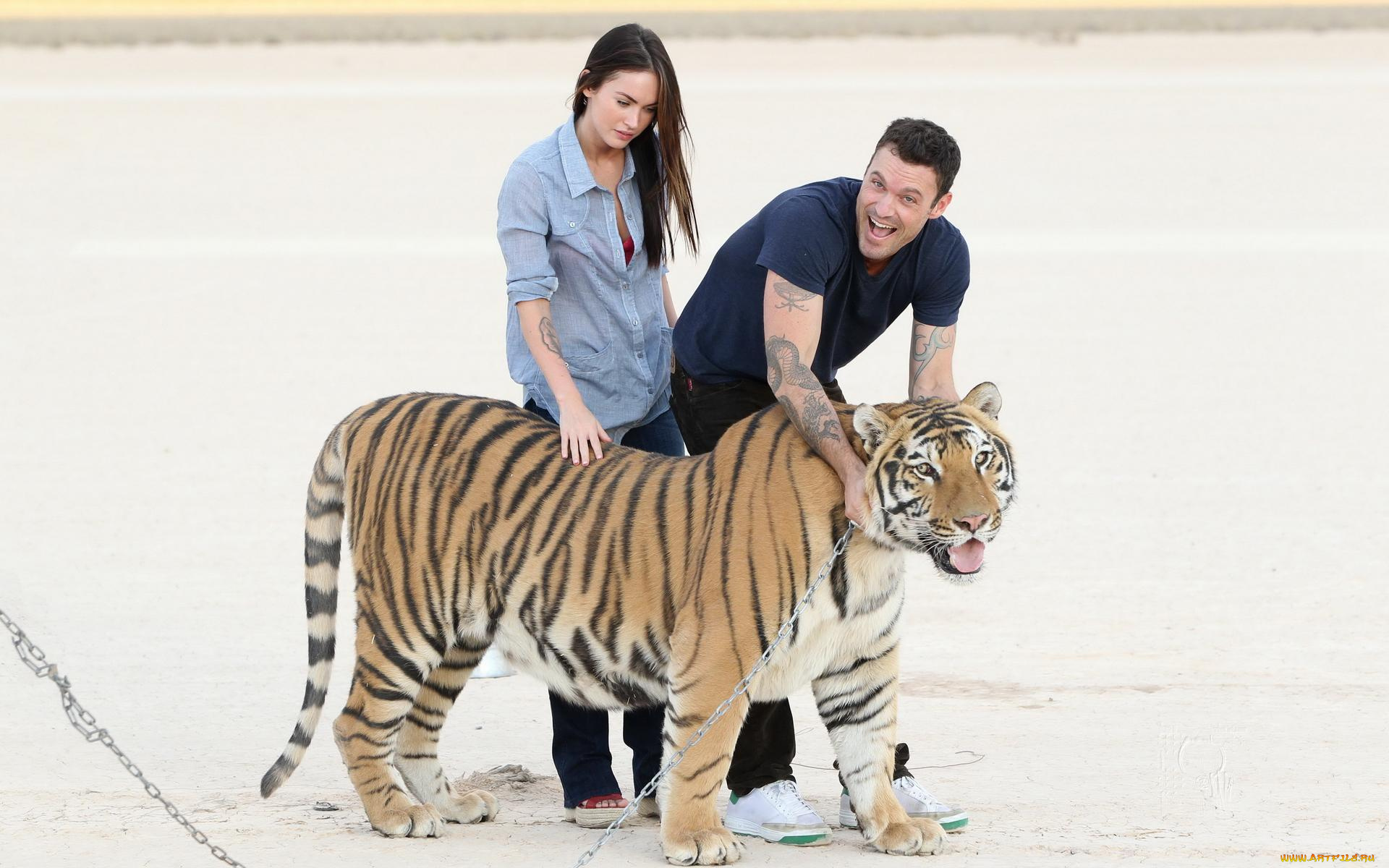 разное, знаменитости