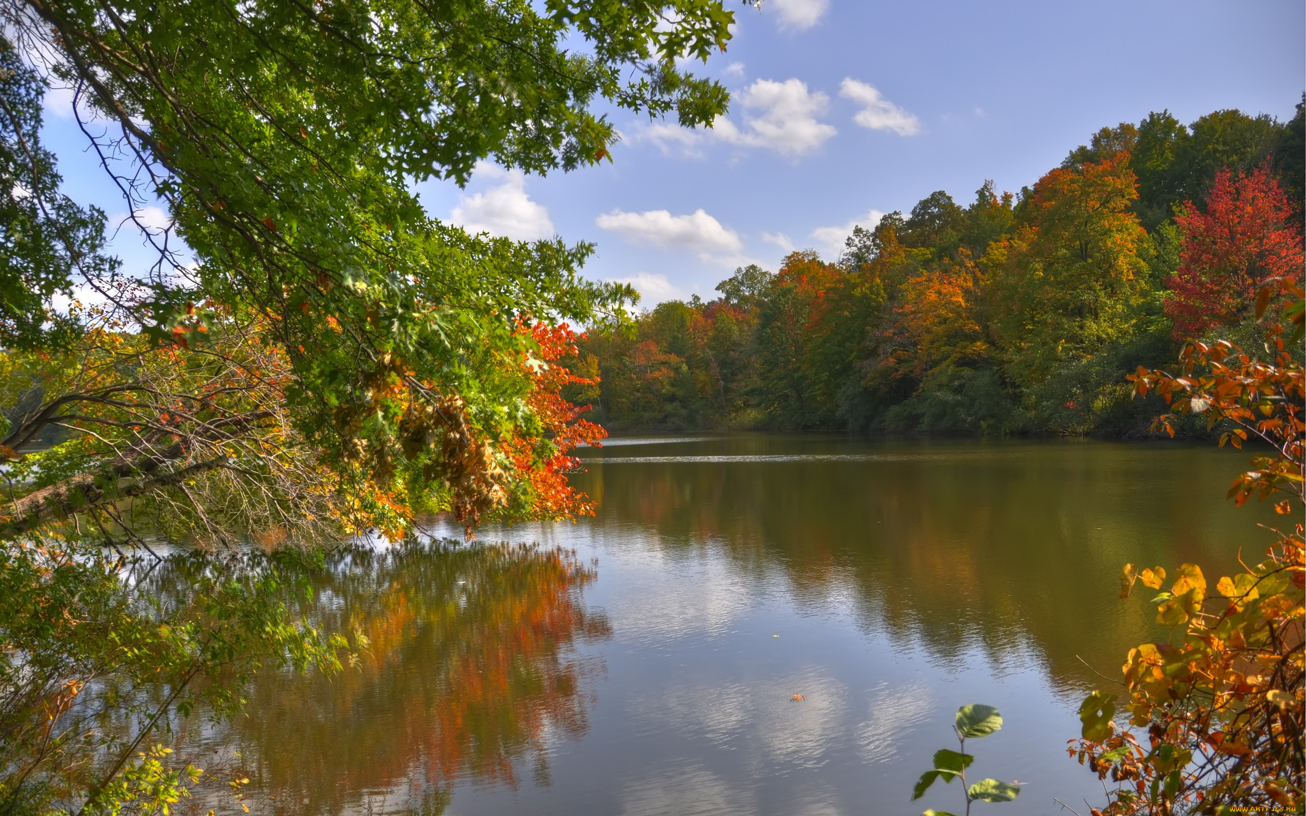 природа, реки, озера