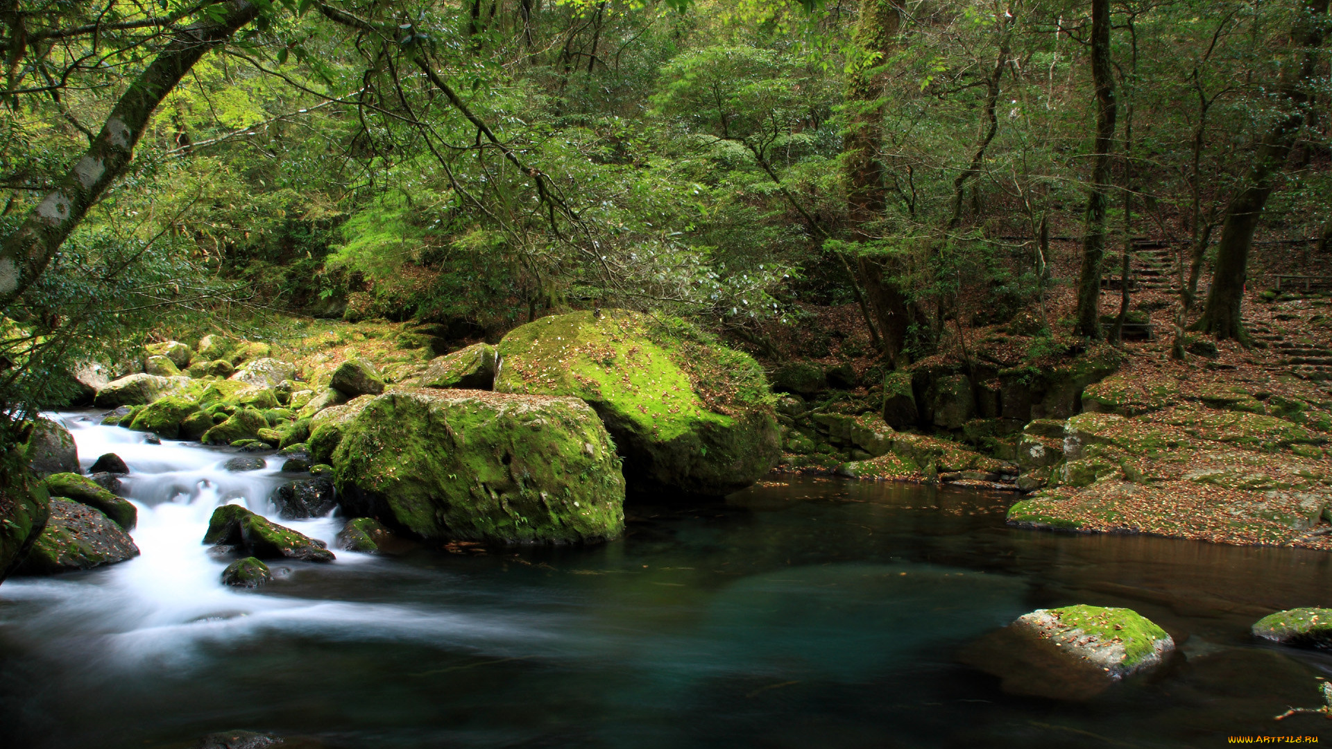 природа, реки, озера, камни, лес, вода
