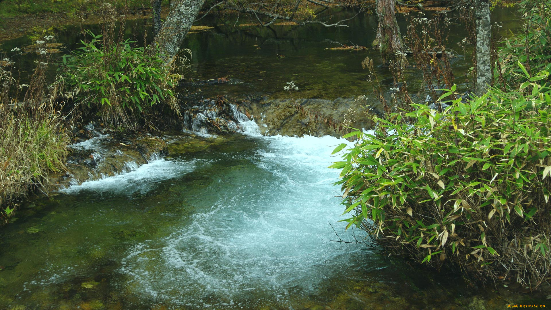 природа, реки, озера, лес