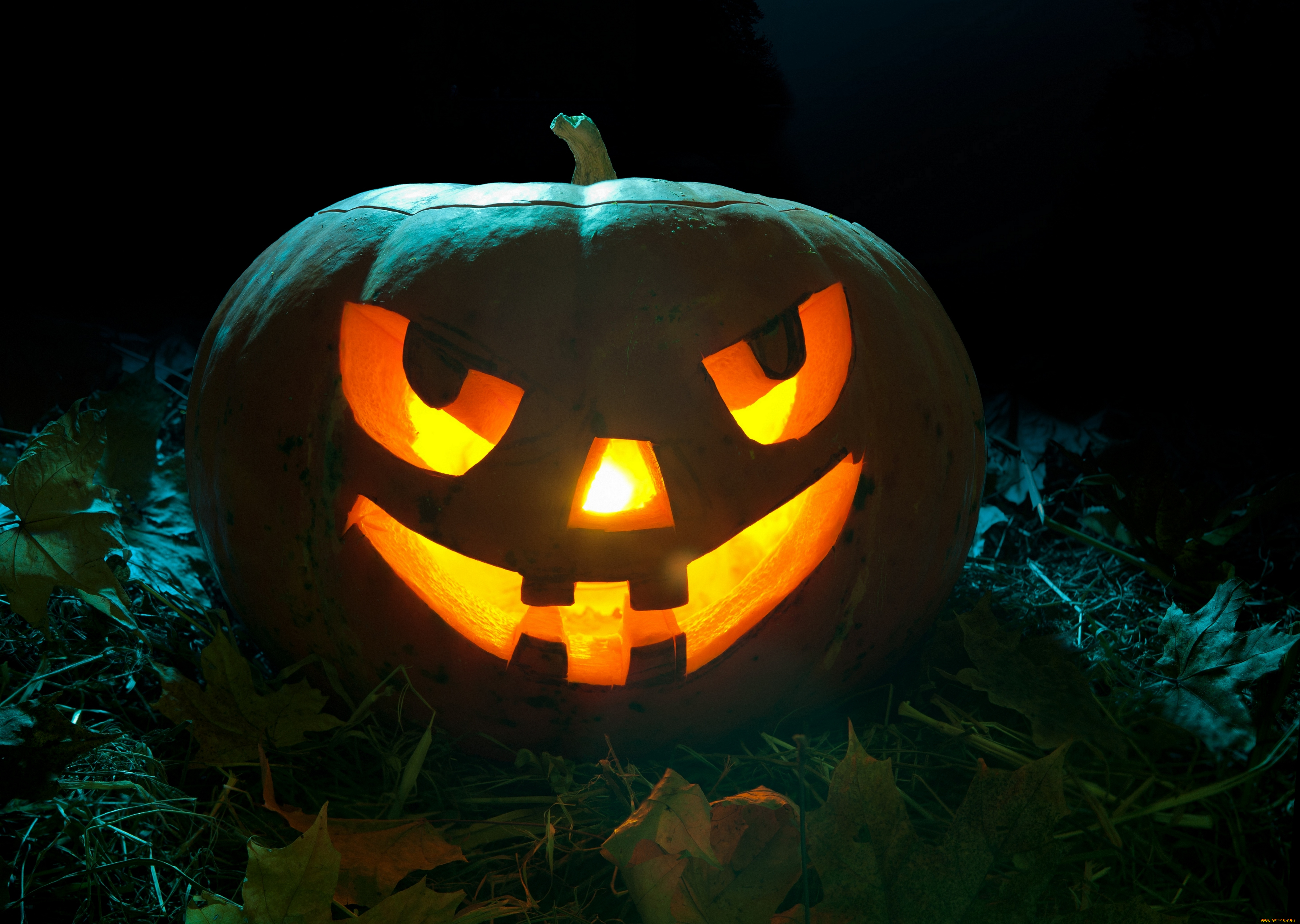 праздничные, хэллоуин, тыква