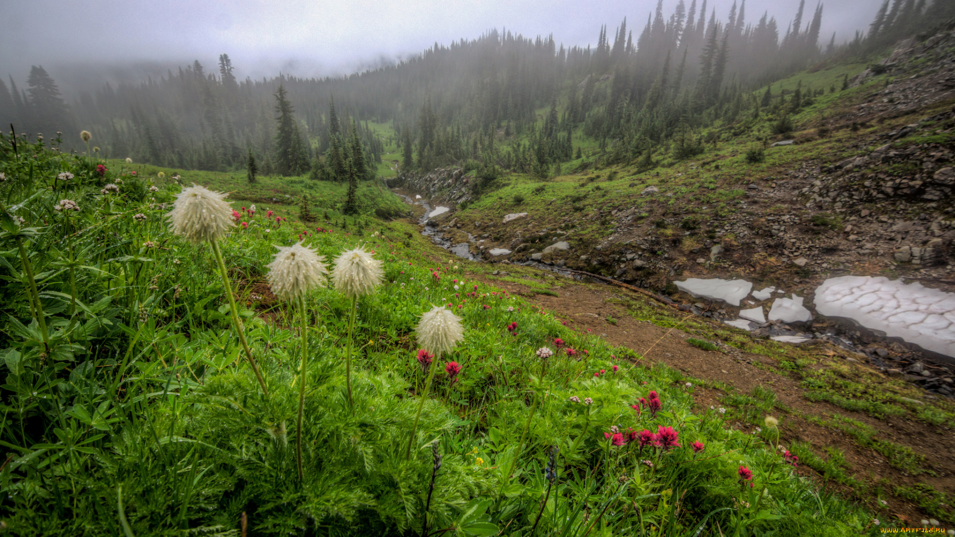 природа, луга, горы, лес, дорога, трава