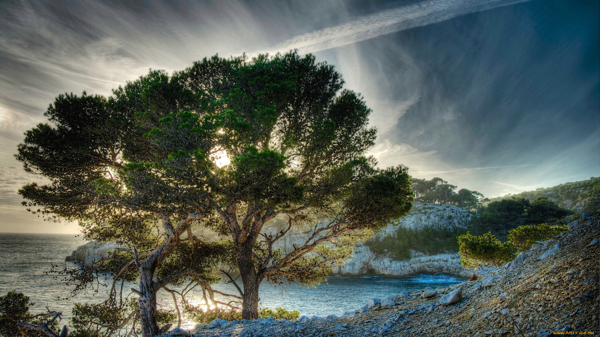 природа, побережье, океан, скалы, дерево, облака