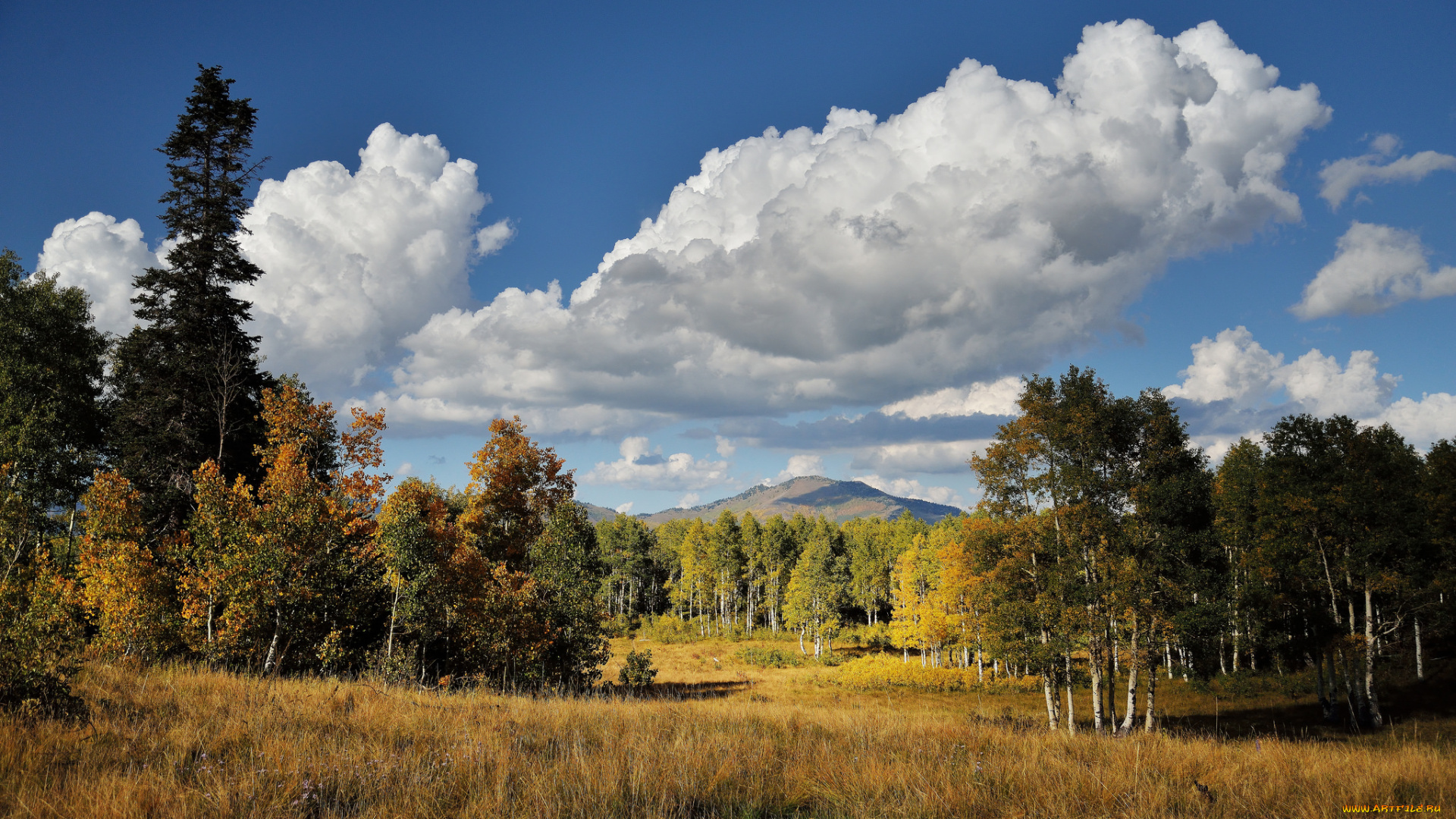 природа, поля, горы, лес, поле, трава