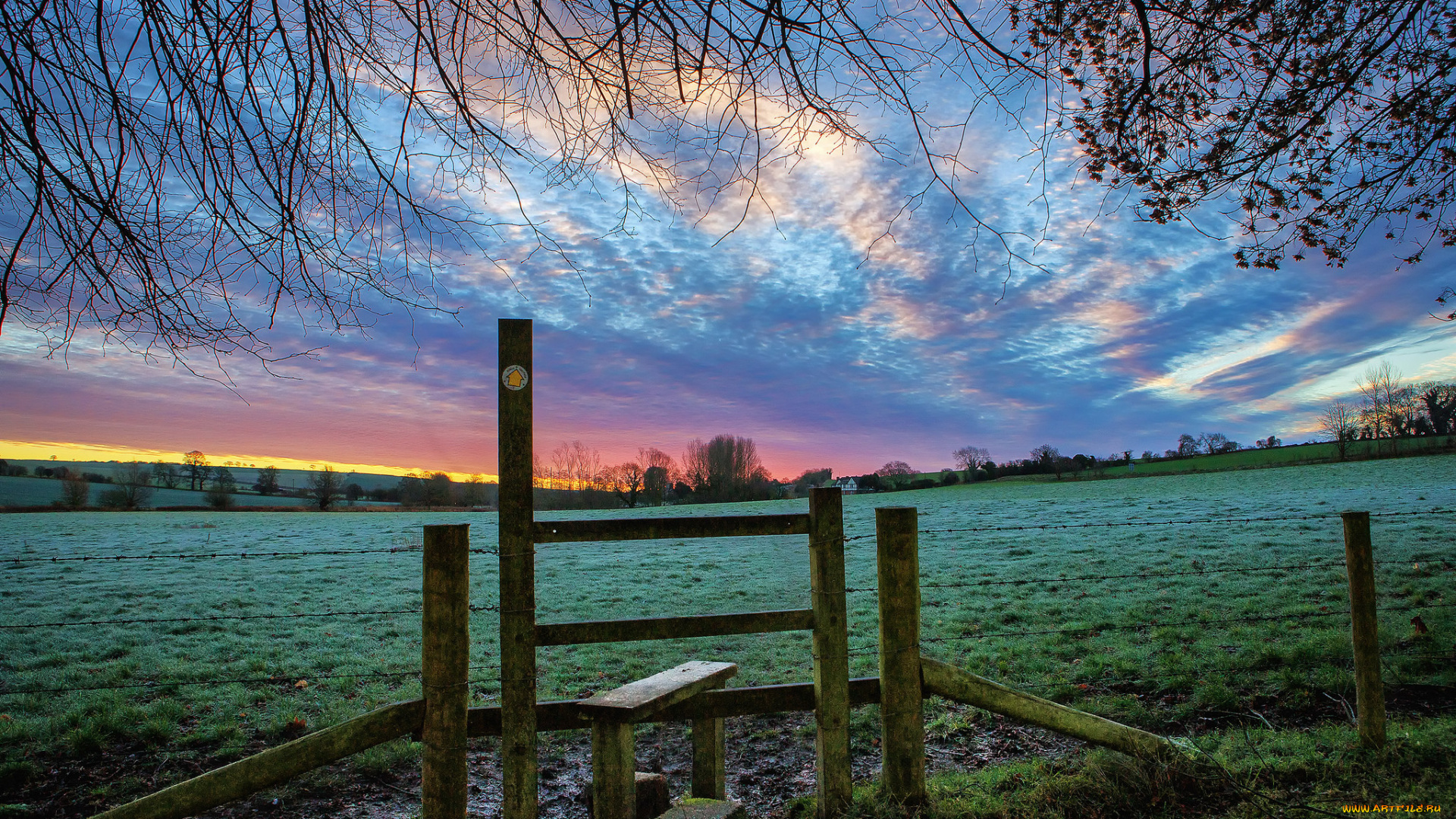 природа, поля, поле, трава, изгородь