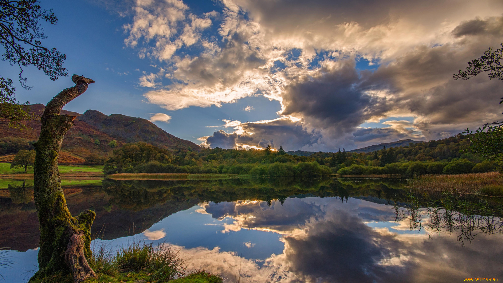 природа, реки, озера, лес, река