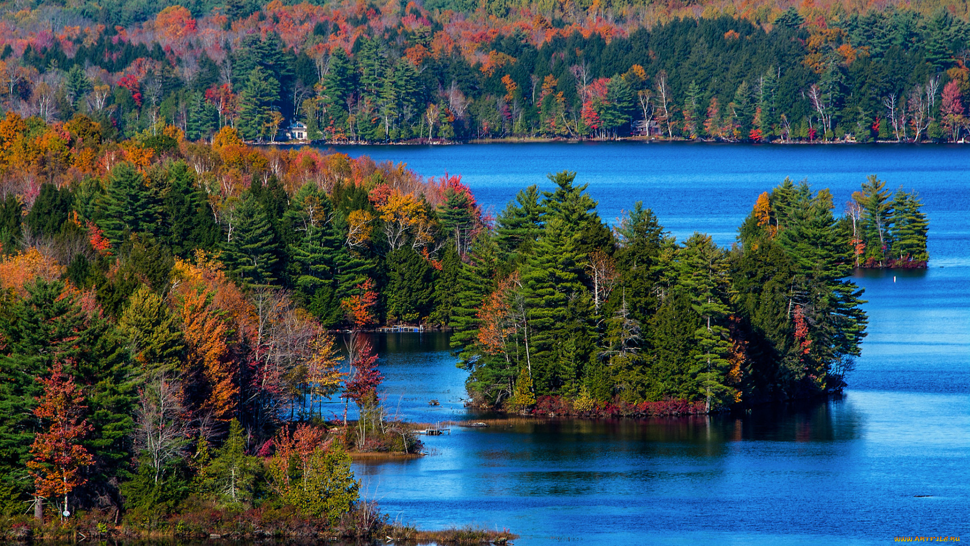 природа, реки, озера, лес, река, осень