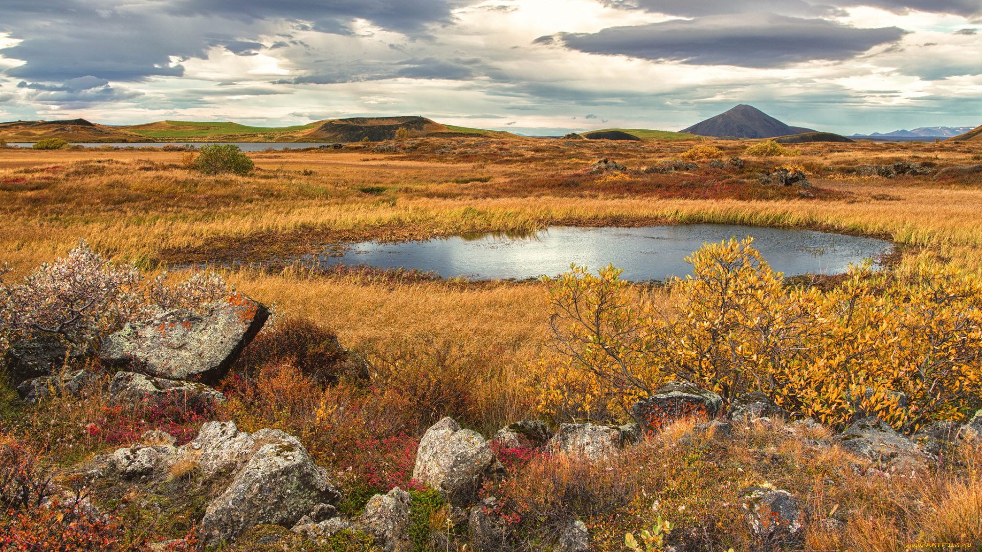 природа, реки, озера, равнина, трава