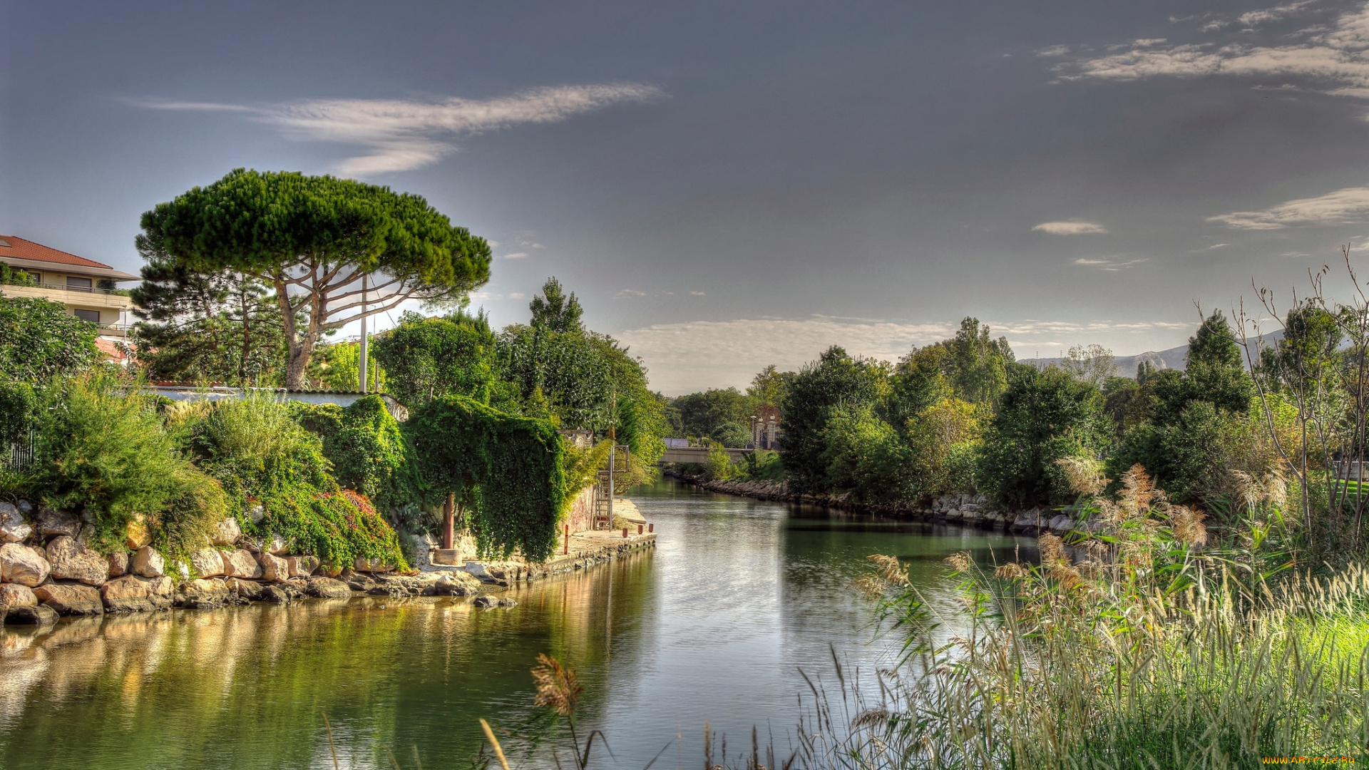 природа, реки, озера, река, лес, мост