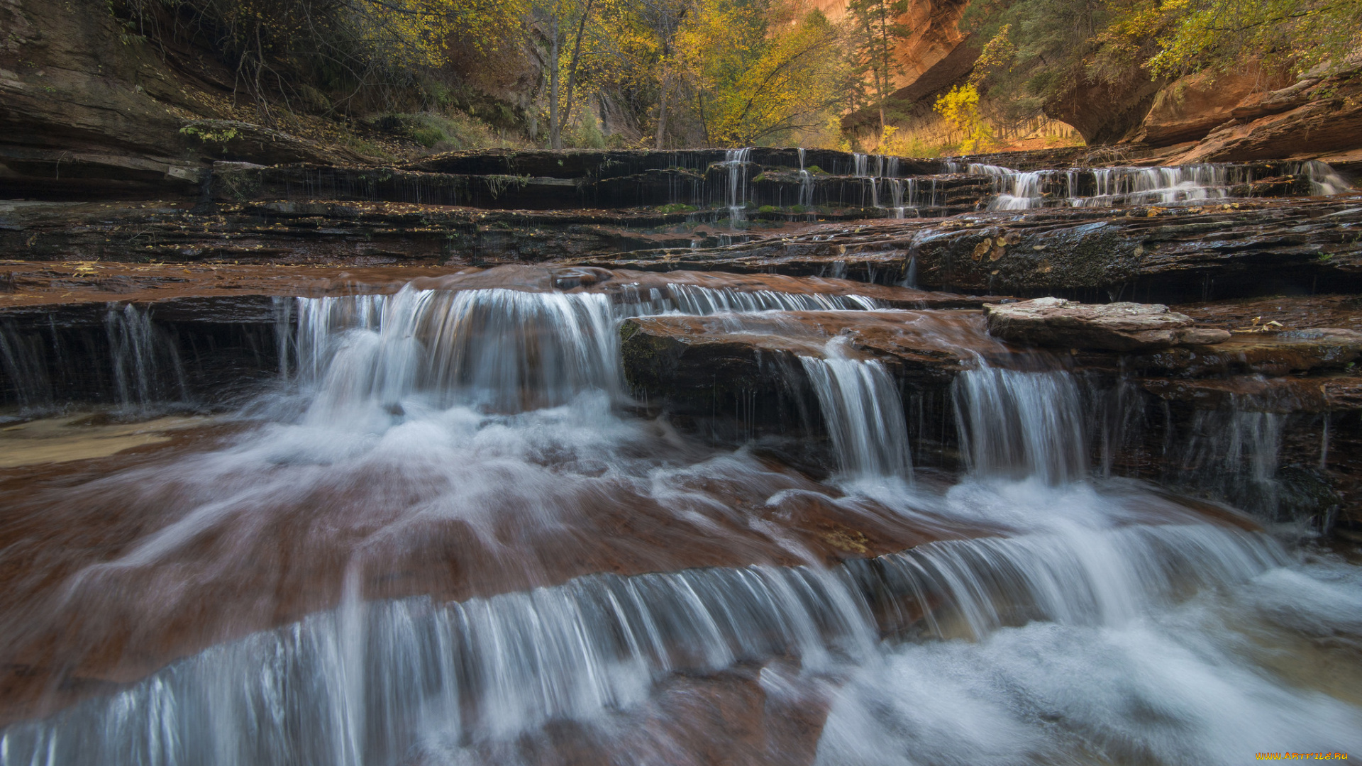 природа, водопады, лес, река, водопад