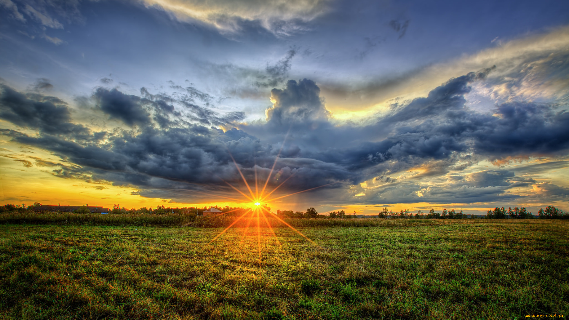 природа, восходы, закаты, поле, трава, тучи, солнце