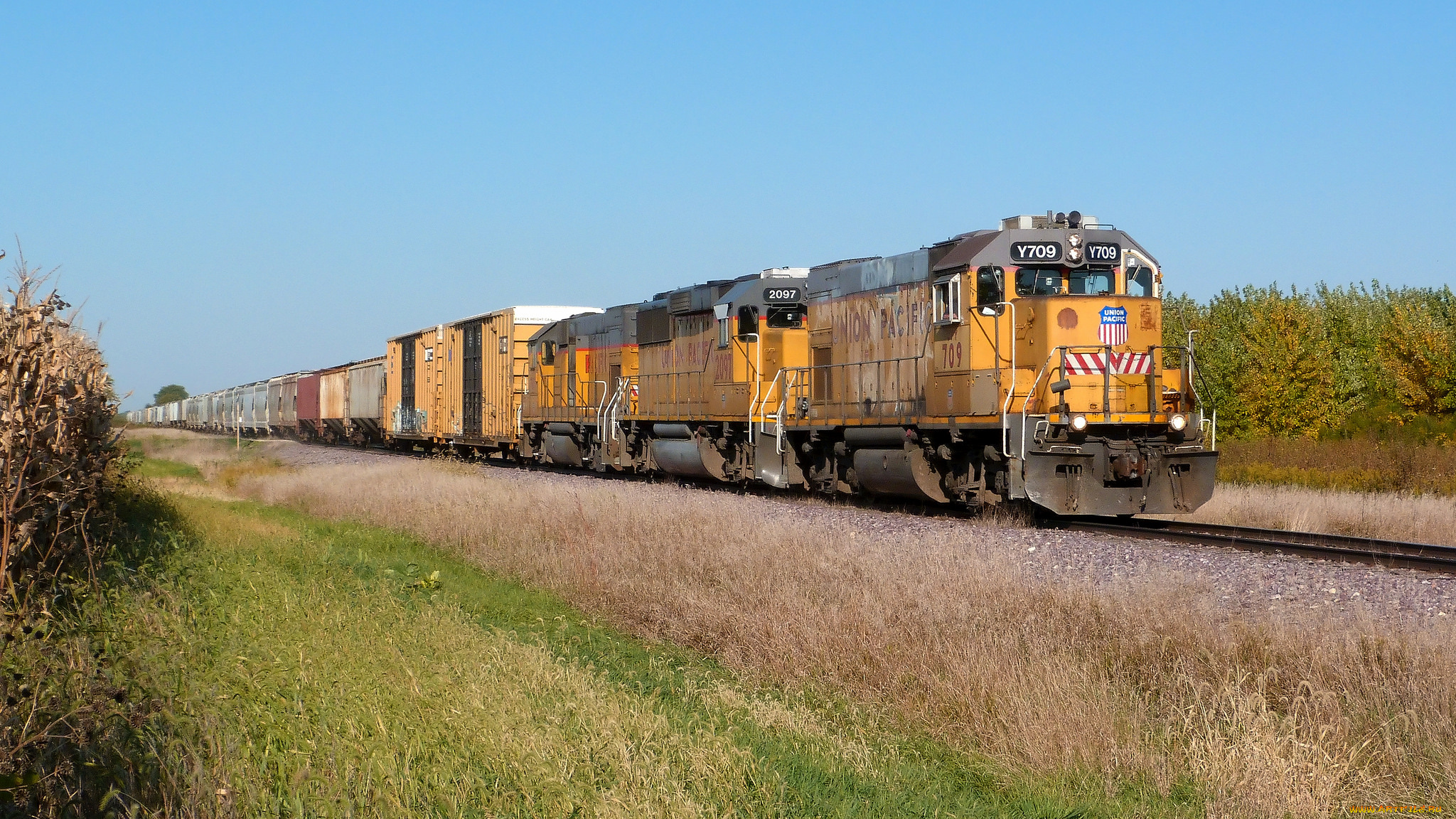 техника, поезда, железная, дорога, локомотив, состав