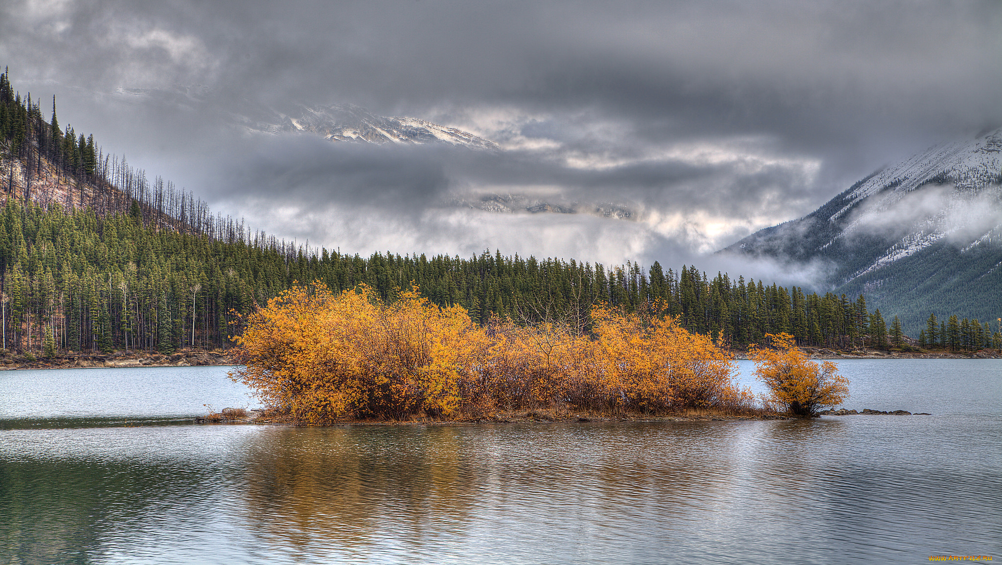 природа, реки, озера, небо, деревья, вода