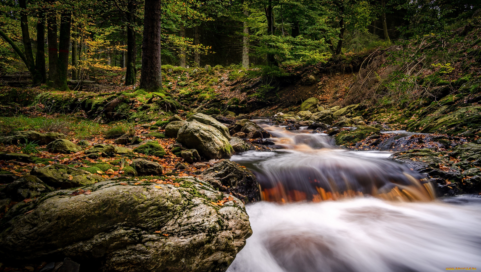 природа, водопады, лес, река, водопад