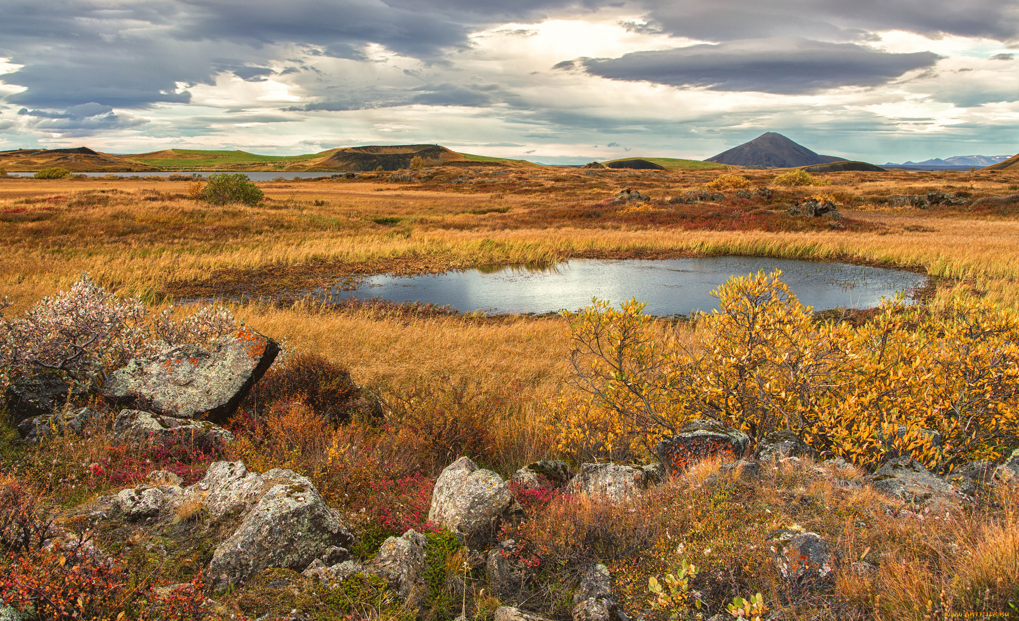 природа, реки, озера, равнина, трава