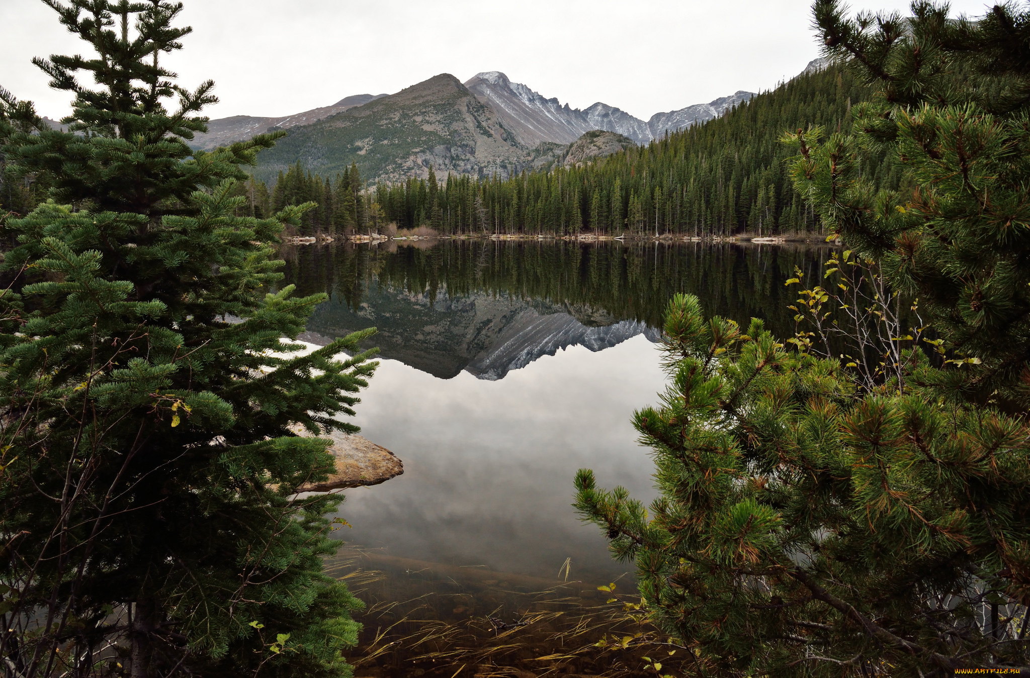 природа, реки, озера, горы, лес, река