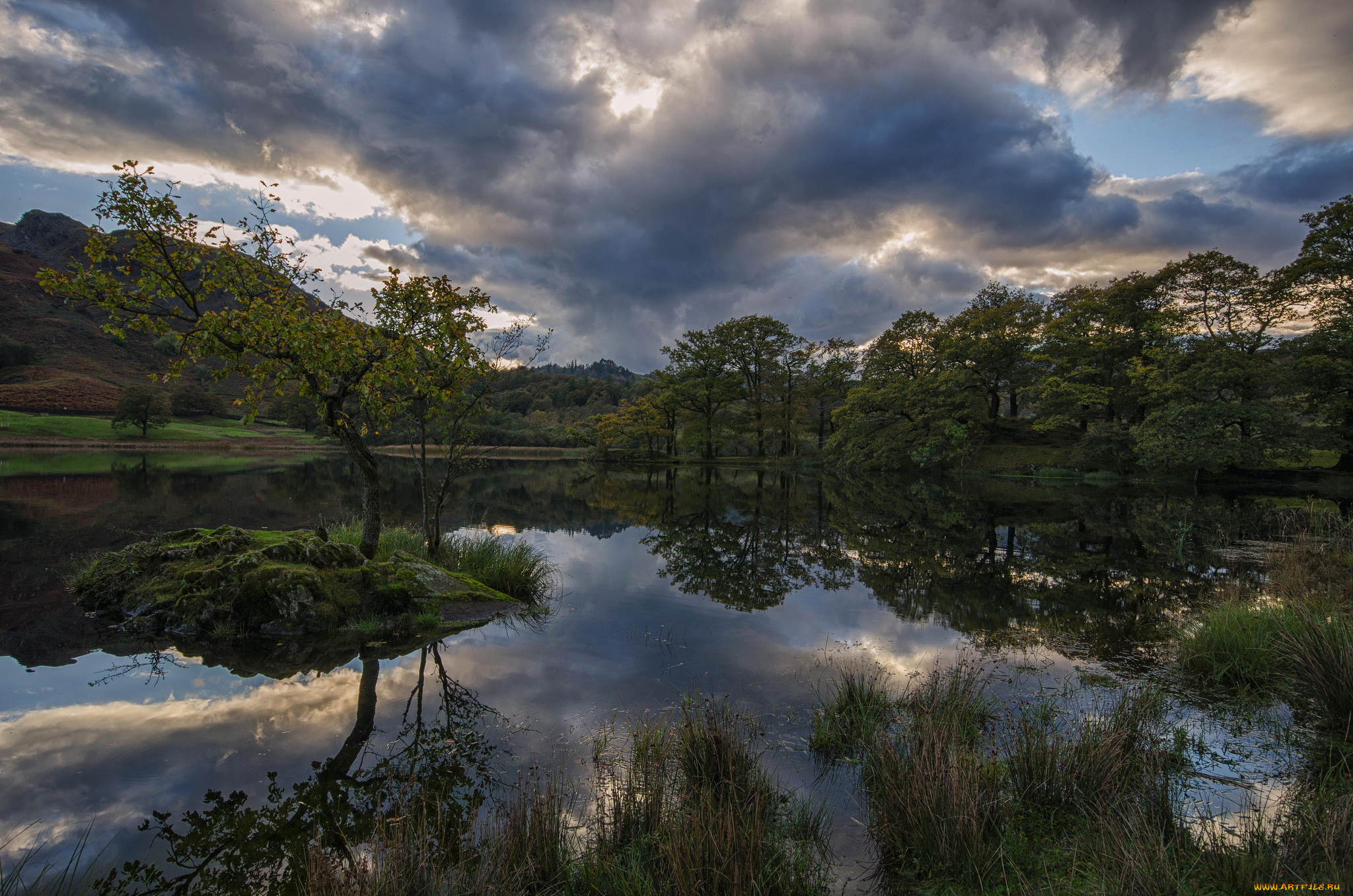 природа, реки, озера, лес, река, тучи