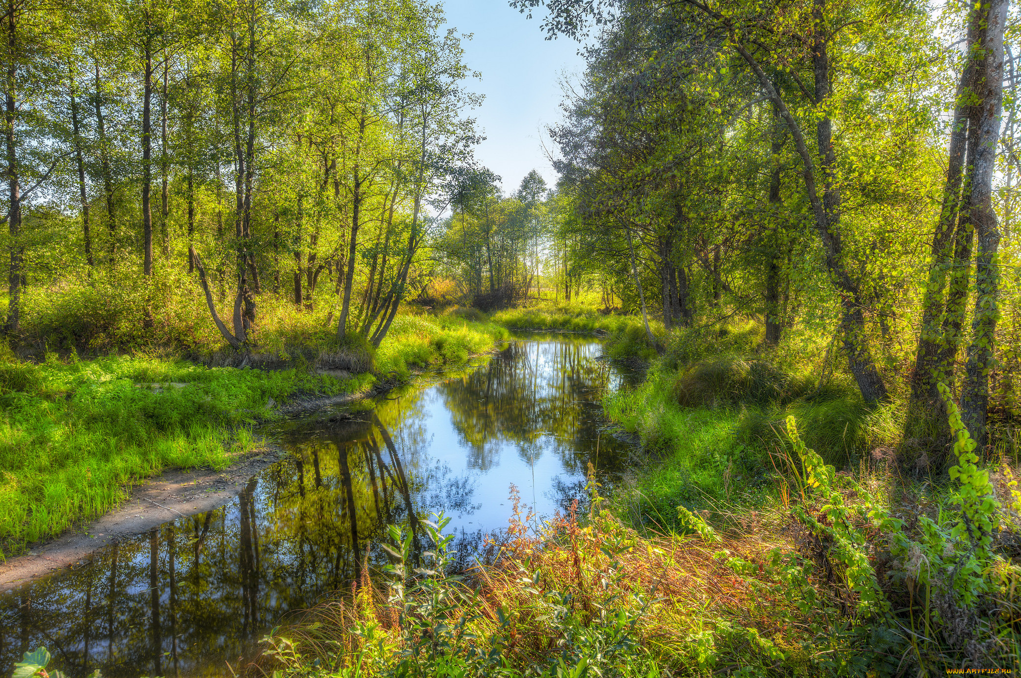 природа, реки, озера, лес, река, осень