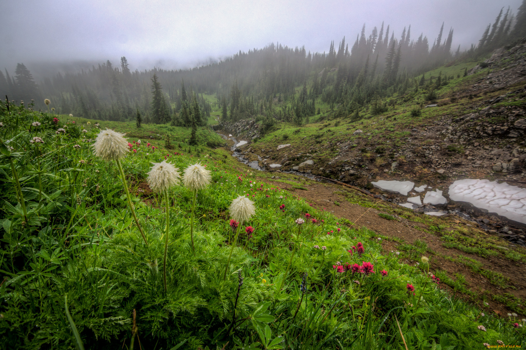 природа, луга, горы, лес, дорога, трава