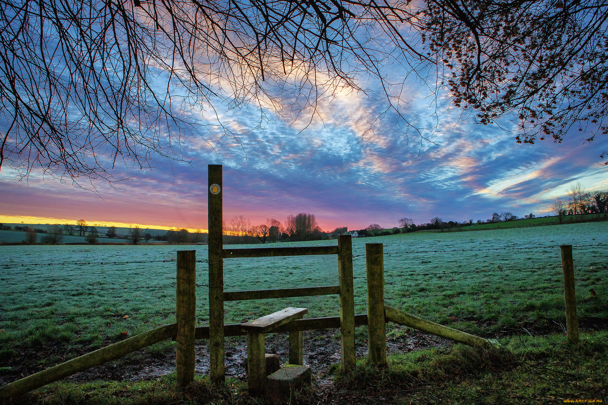 природа, поля, поле, трава, изгородь