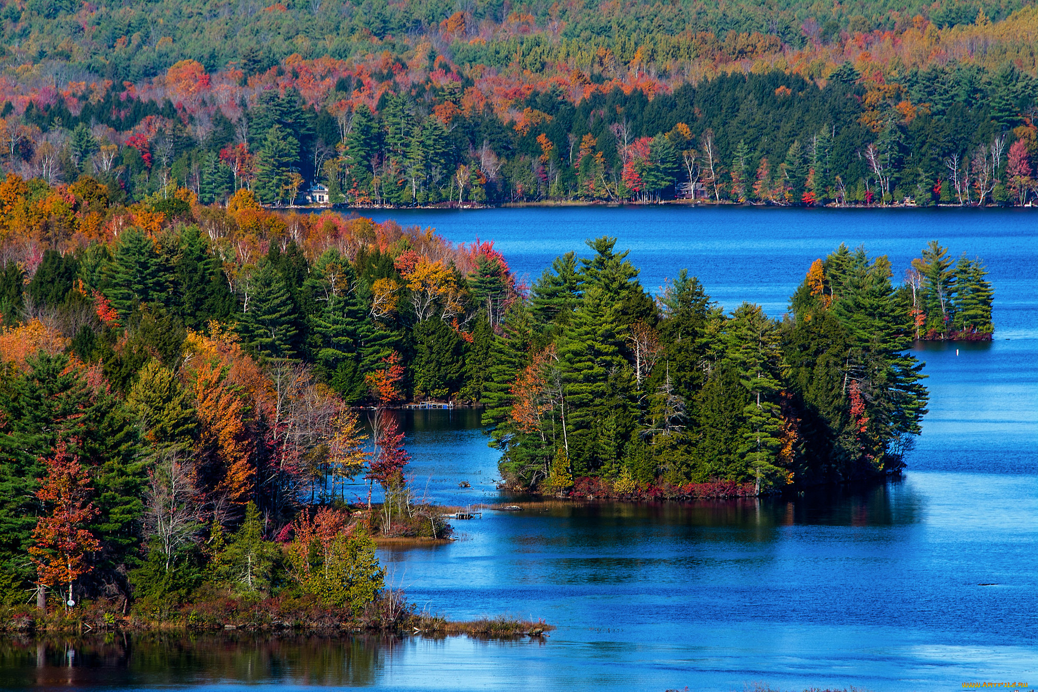 природа, реки, озера, лес, река, осень