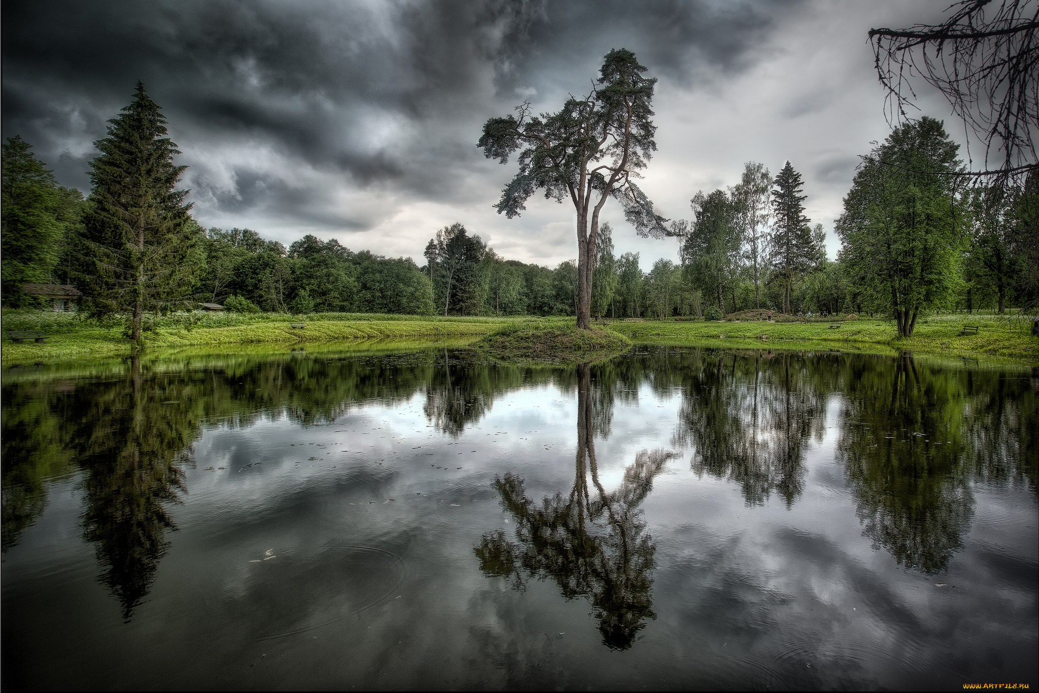 природа, реки, озера, лес, река, тучи
