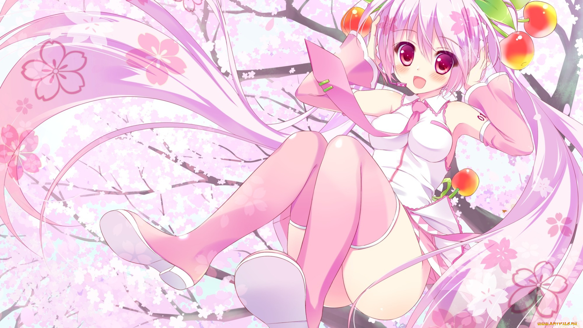 аниме, unknown, , другое, девушка, вишни, цветы, фон, взгляд