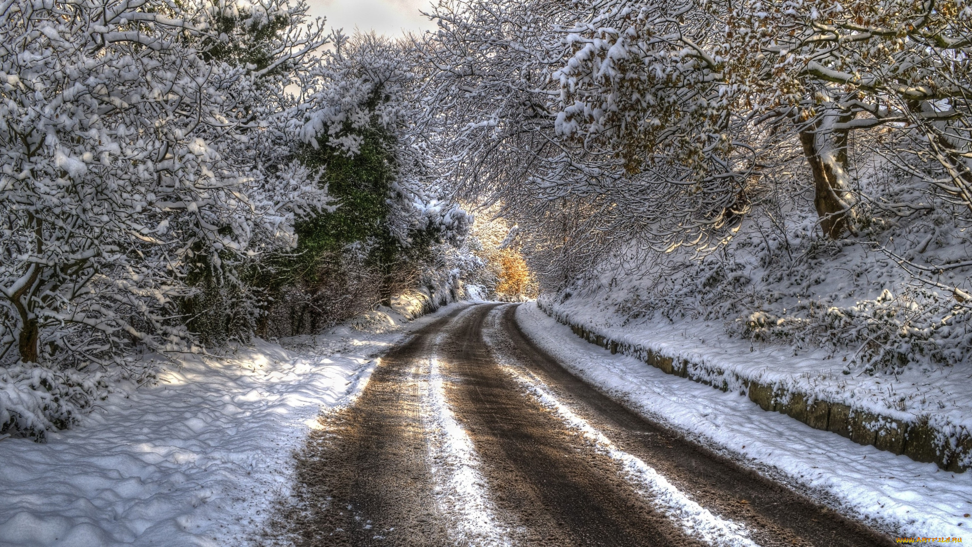 природа, дороги, дорога, зима, лес