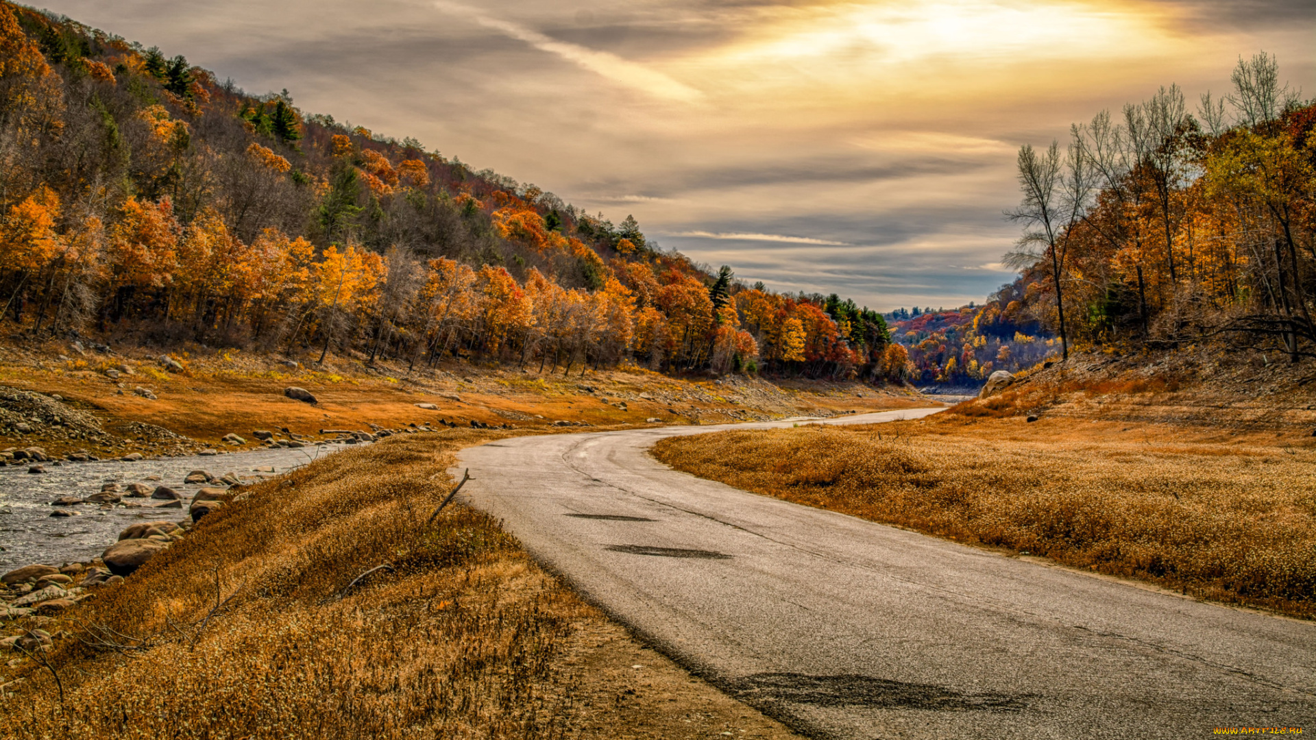 природа, дороги, лес, дорога