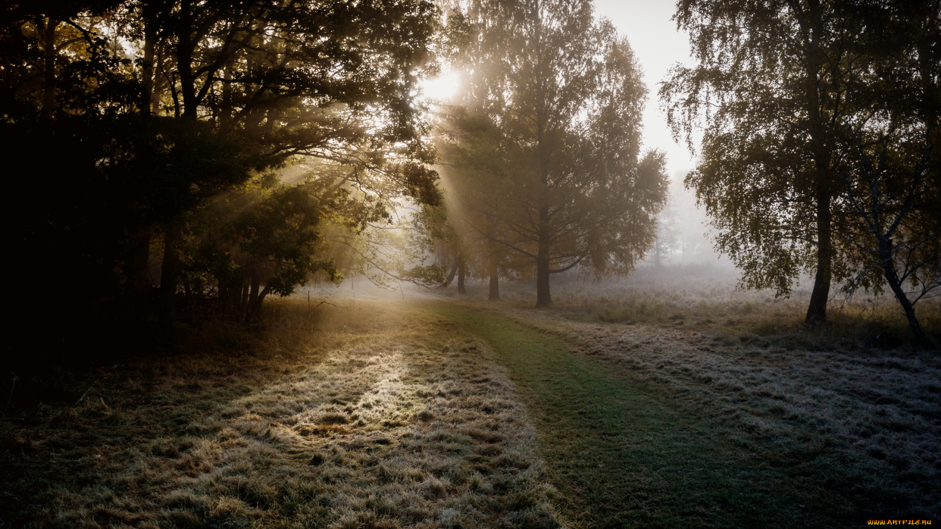 природа, дороги, вечер, осень, иней