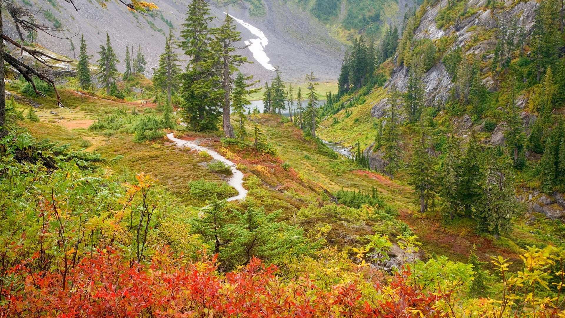 природа, горы, деревья, осень, кусты