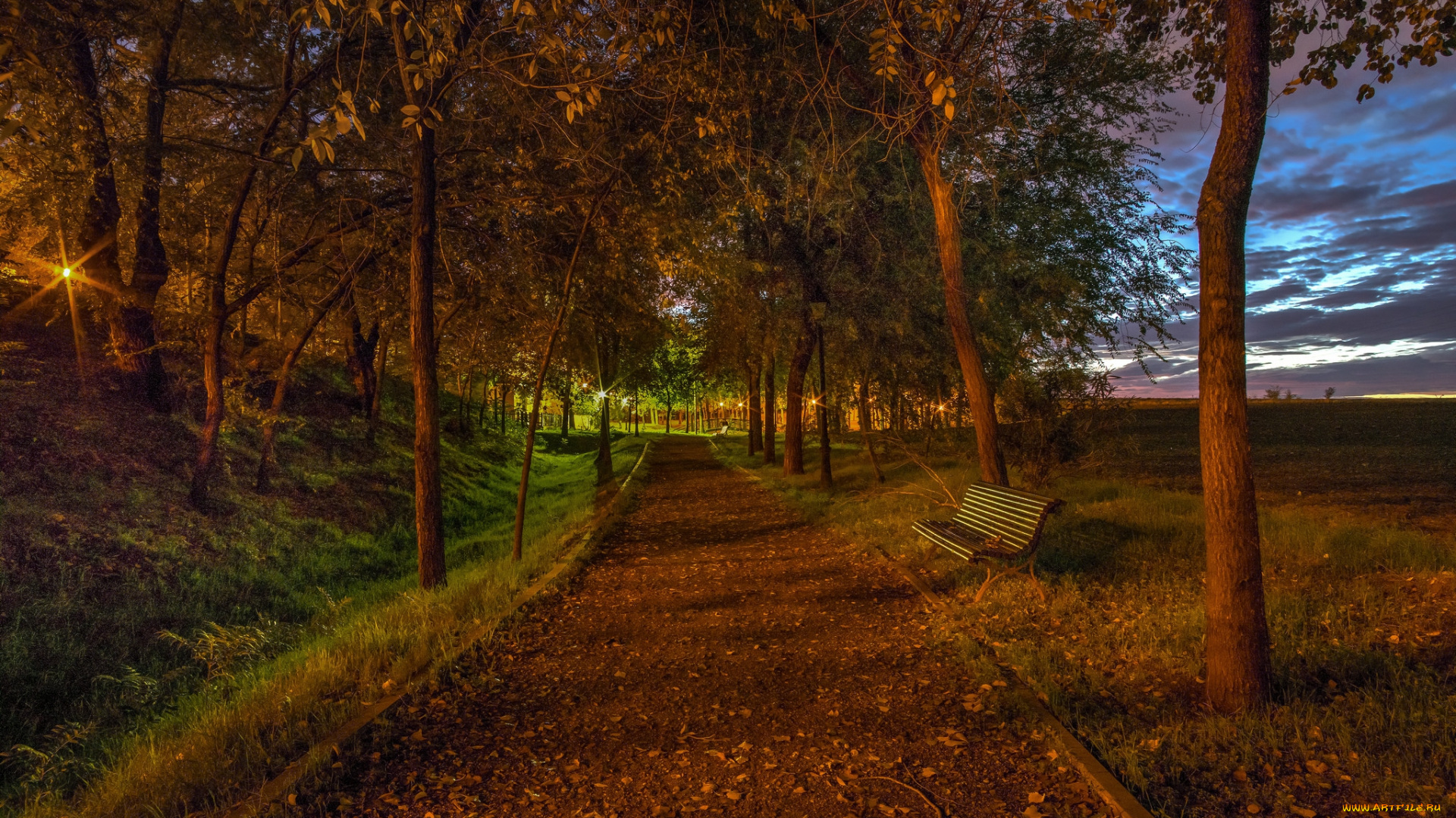 природа, парк, осень, дорожка, аллея