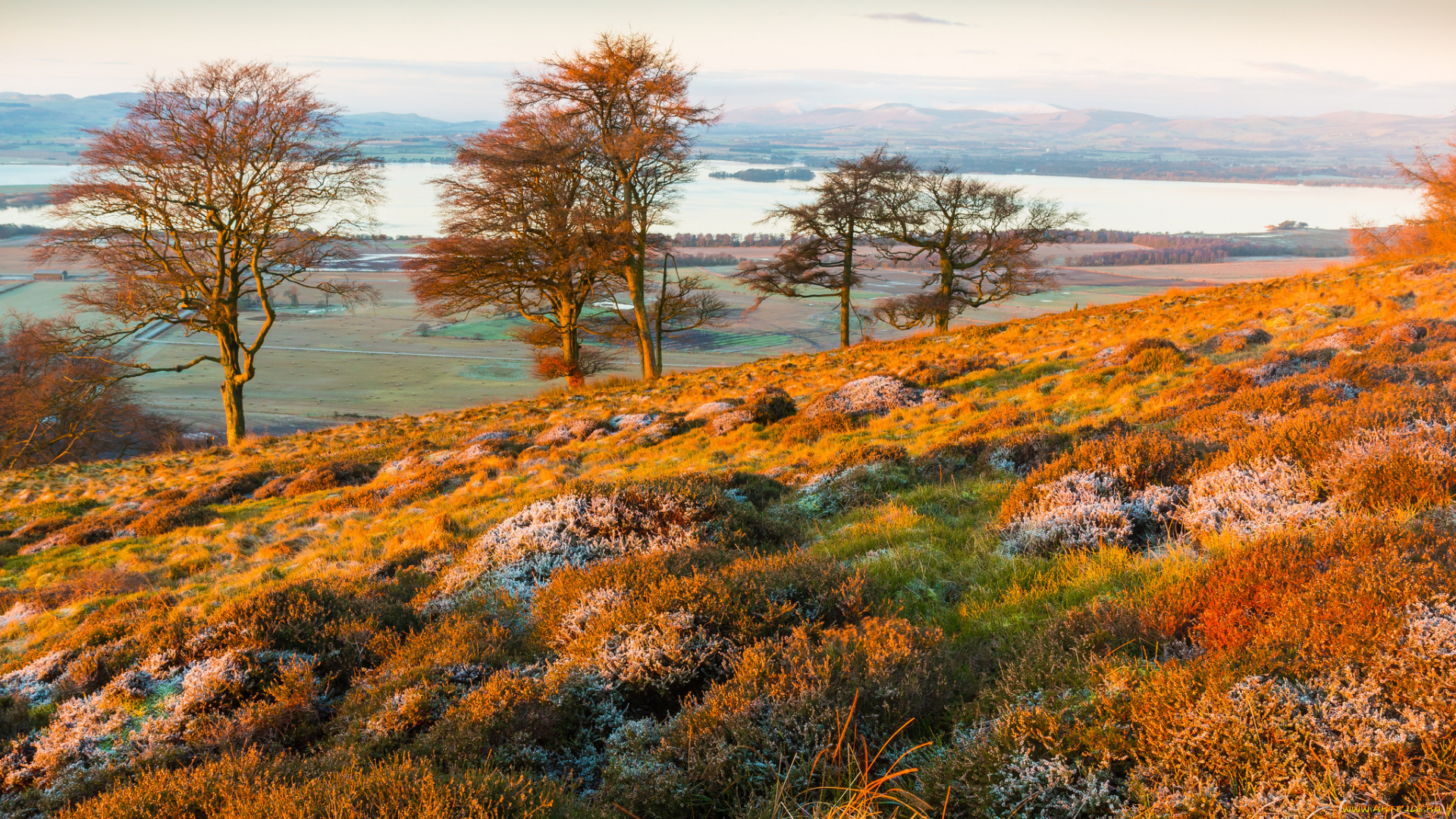 природа, пейзажи, деревья, пейзаж, иней, осень, горы, холмы, трава, озеро